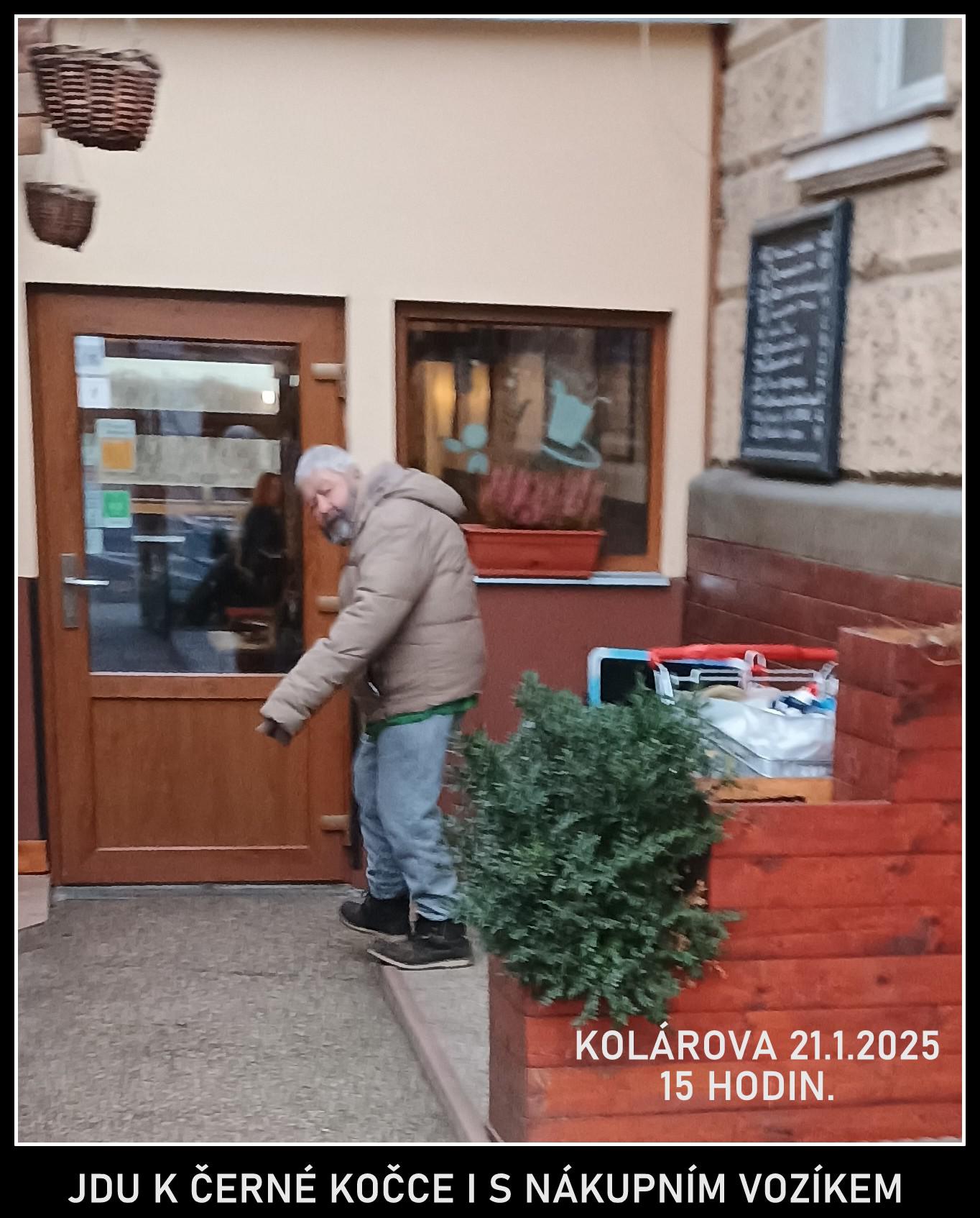 U Černý kočky foto 3