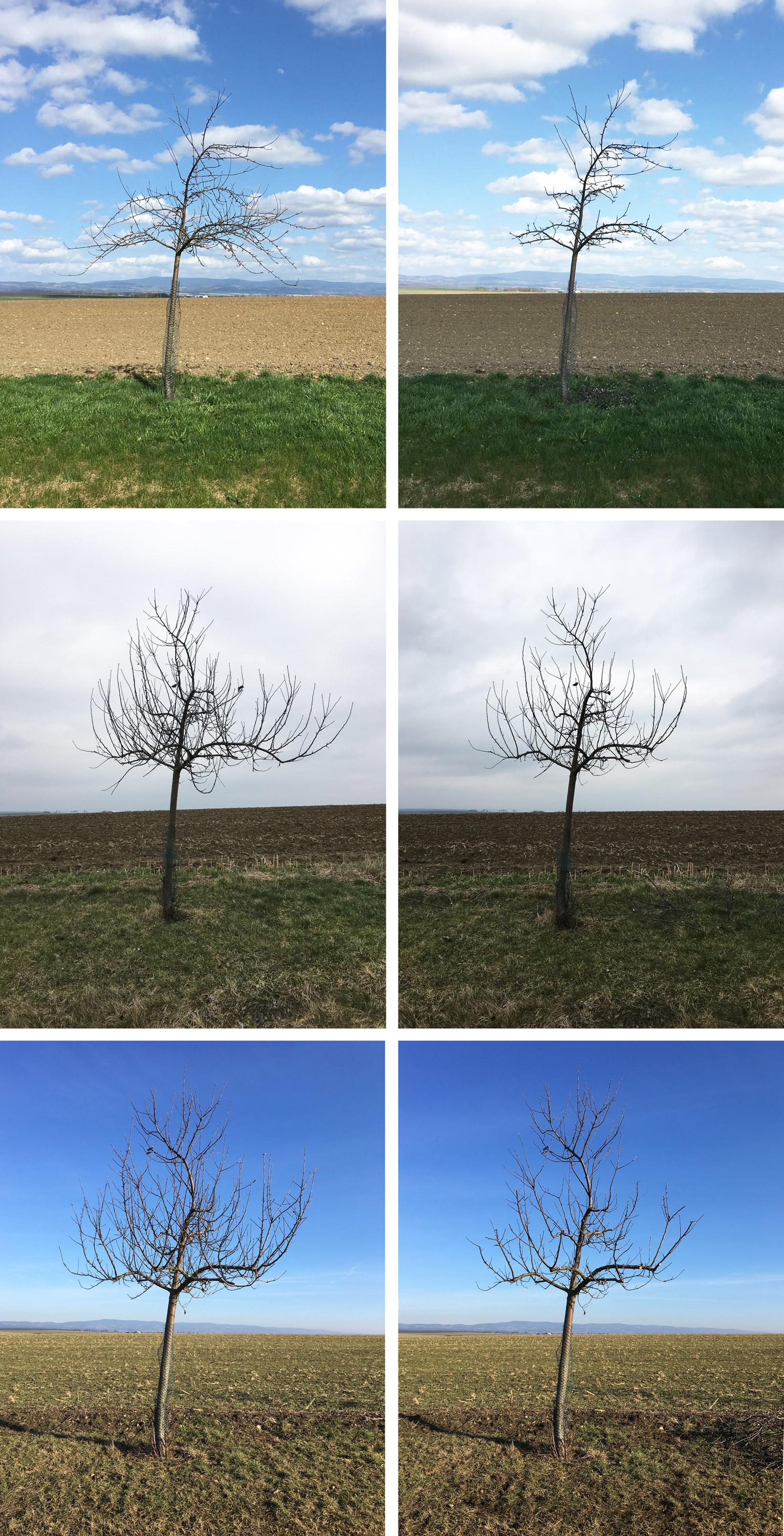 Sadař Honza Kačer foto 2