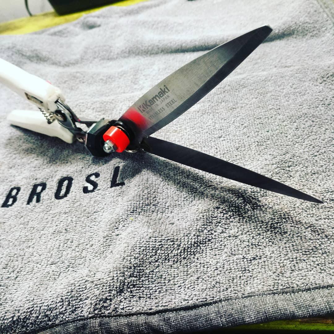 BROSL foto 4