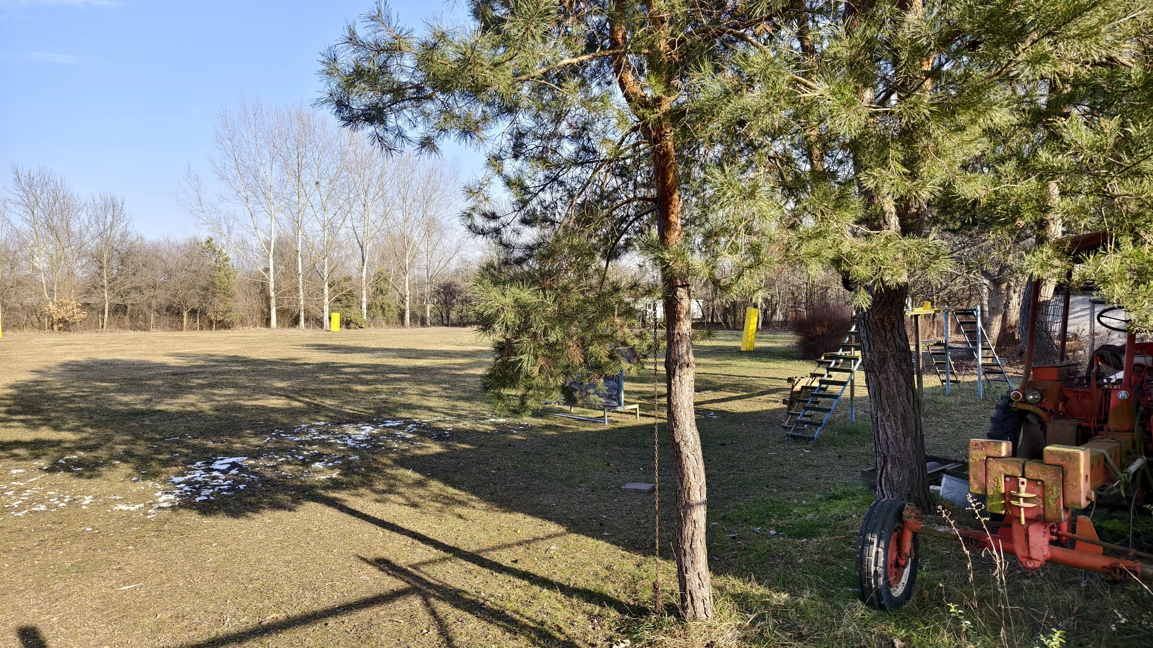 Kurzy poslušnosti v Břeclavi foto 2