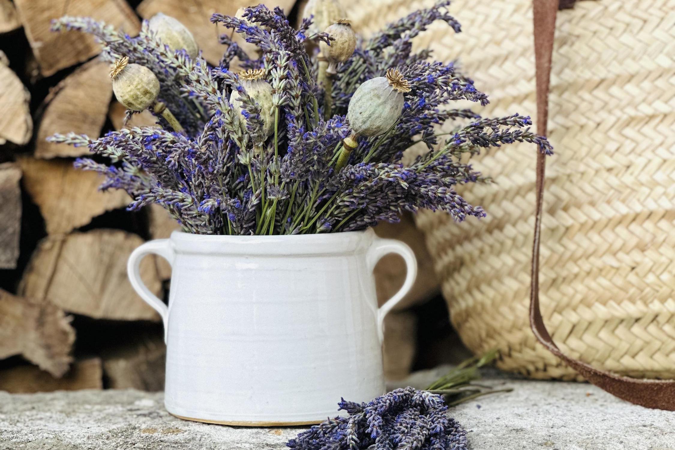 Zaplotemvenkovskehostaveni.cz