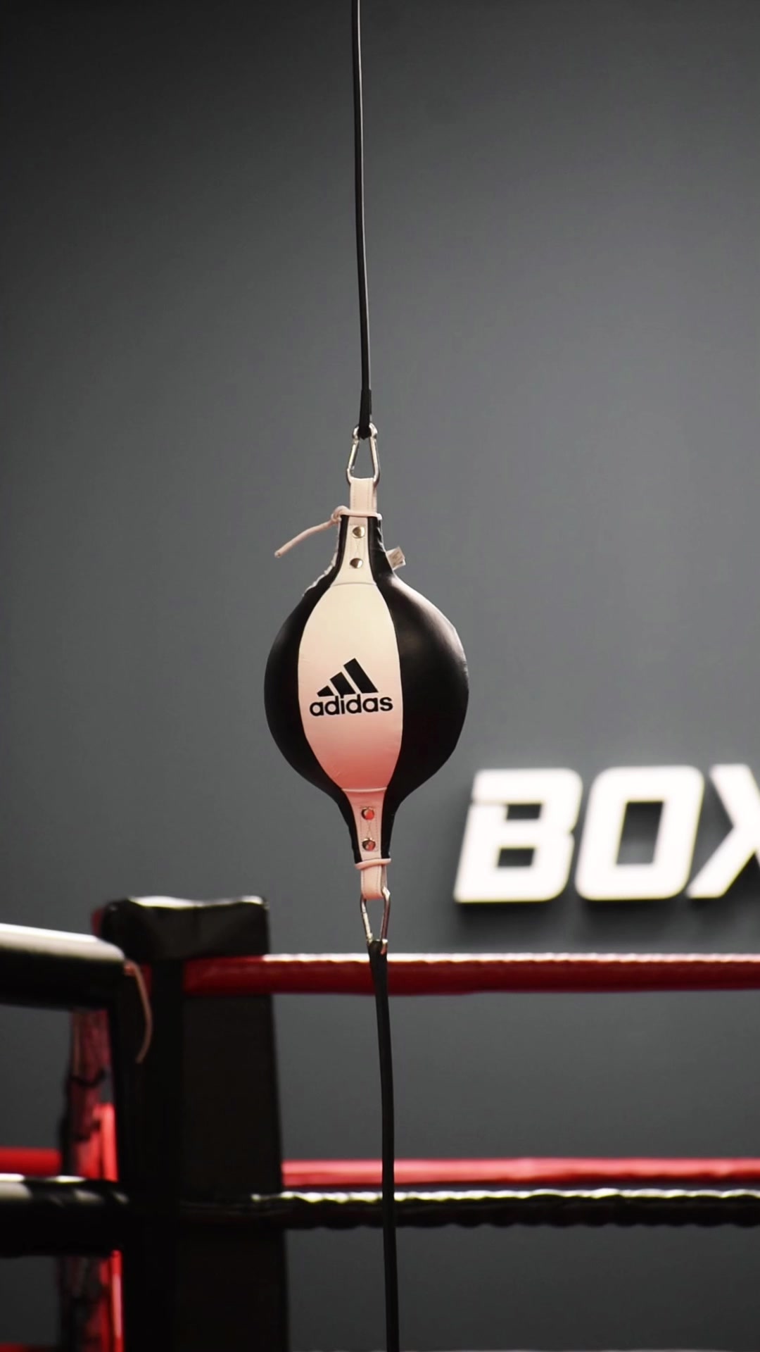 BOXER PRO GYM foto 2 (náhled videa)