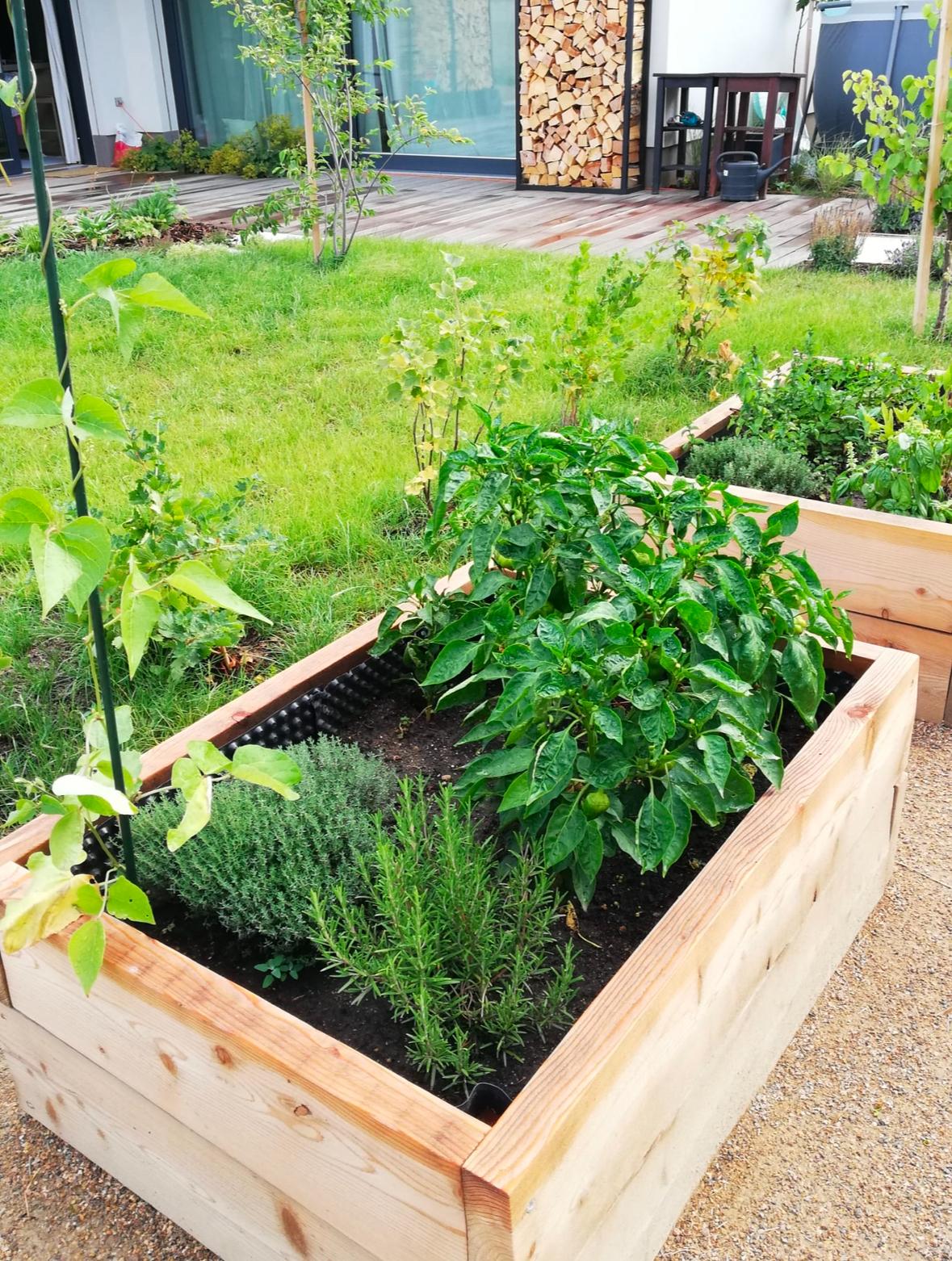 Pohádkové dřevo foto 3