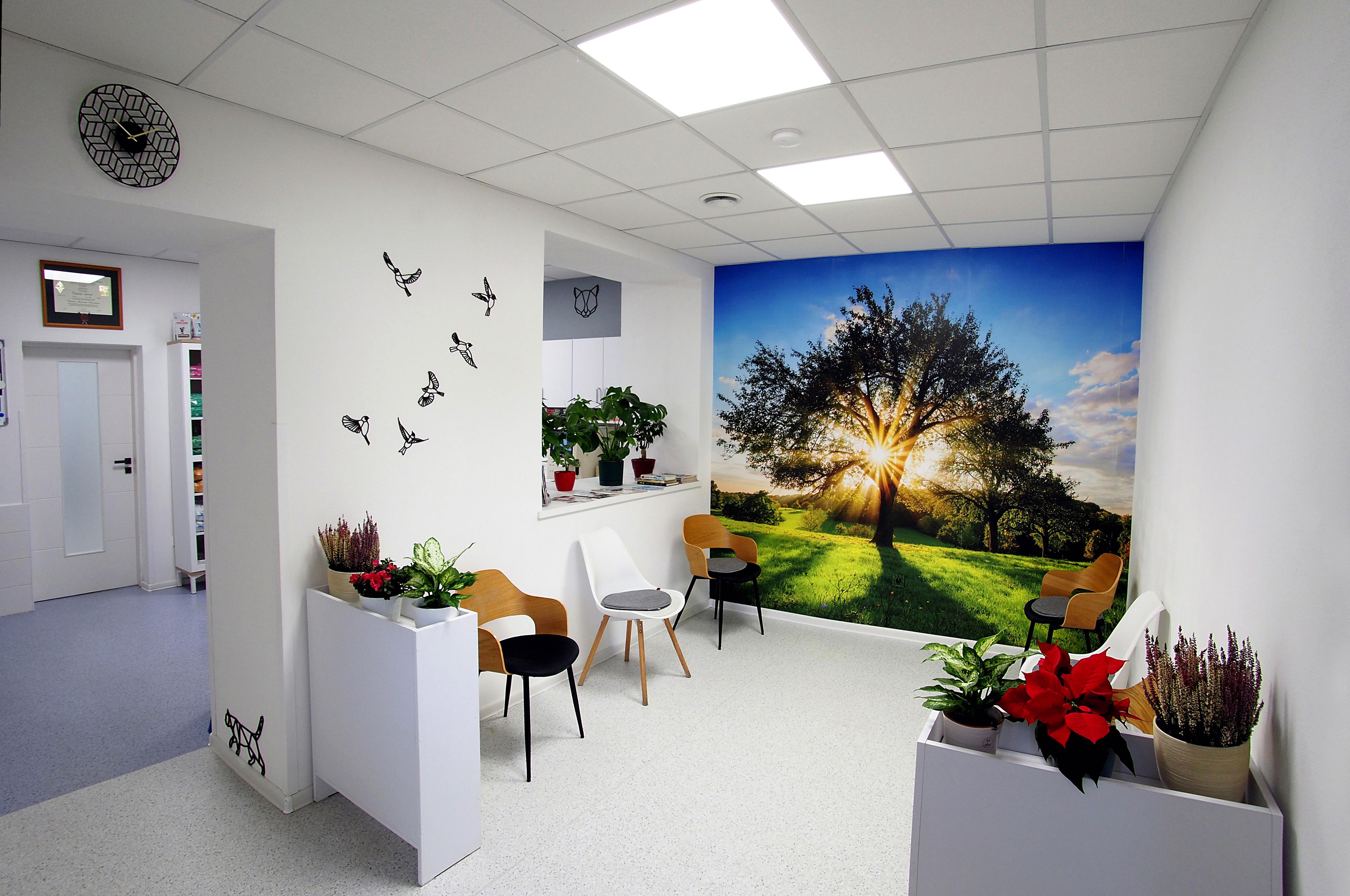 Veterinární ordinace Kdyně foto 4