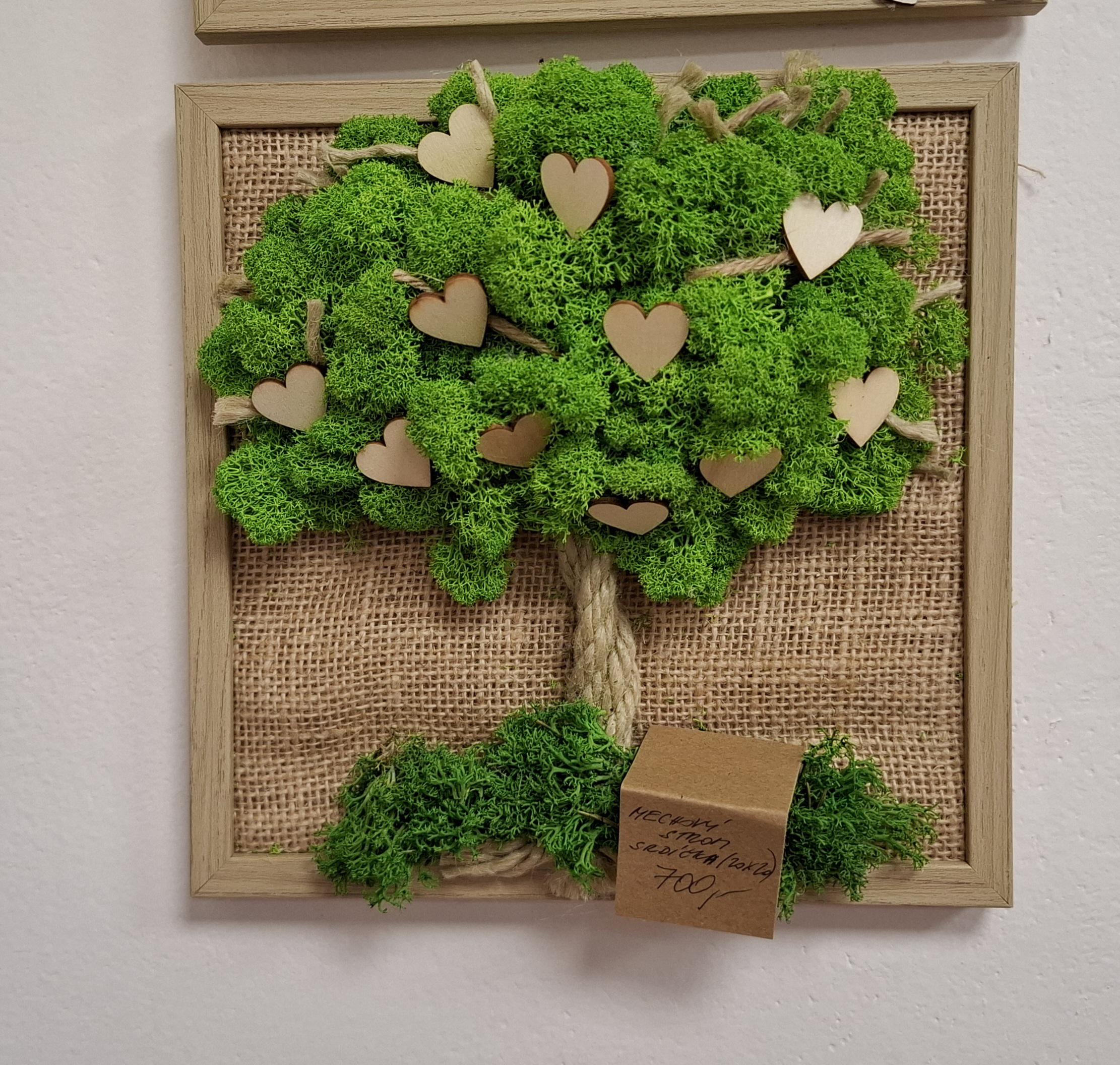 Mechové obrazy, obrazy akrylem - Bc. Olga Čeřovská foto 3