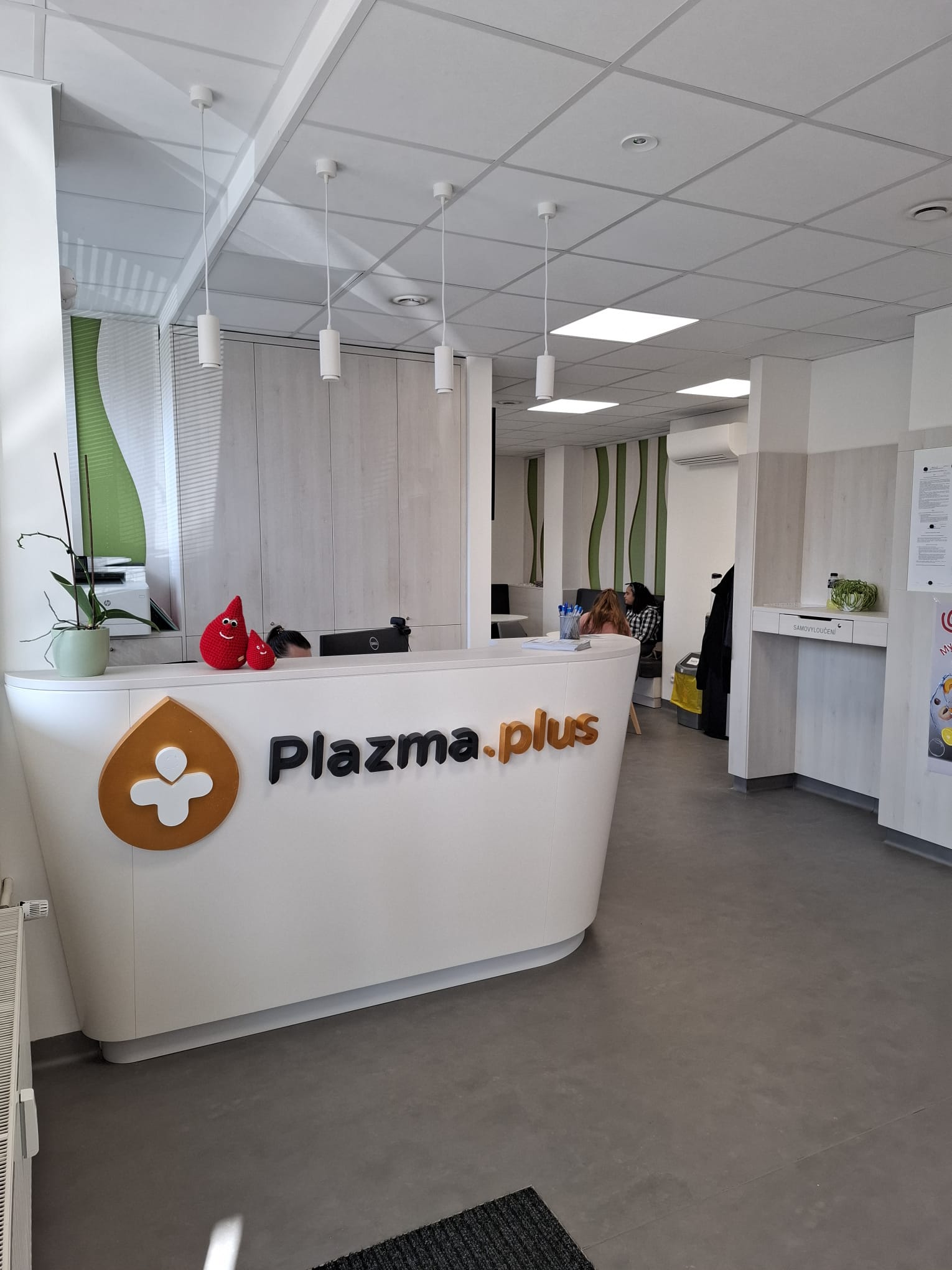 Plazma Plus foto 2