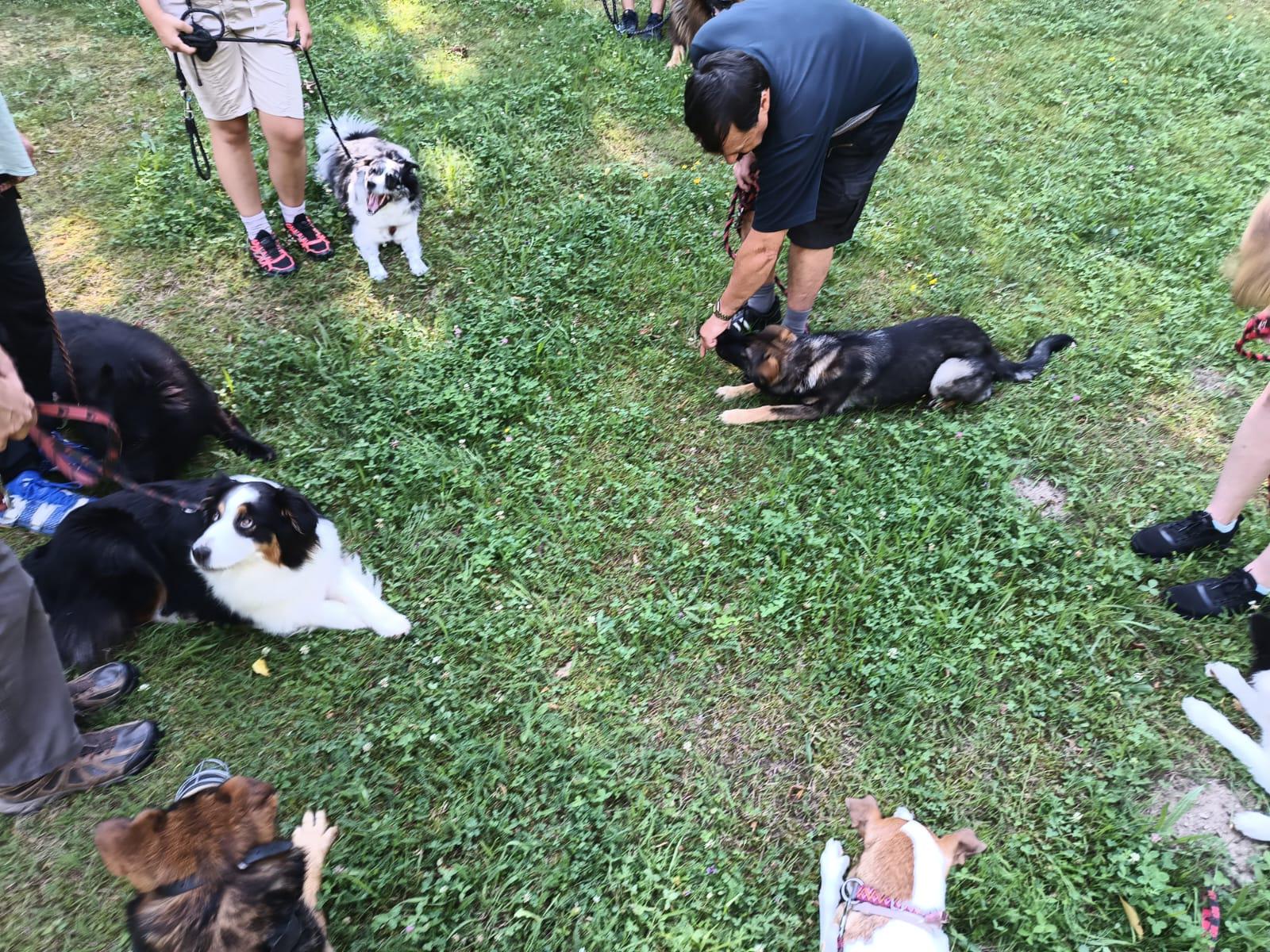 Kynologický cvičák Smolkov foto 4