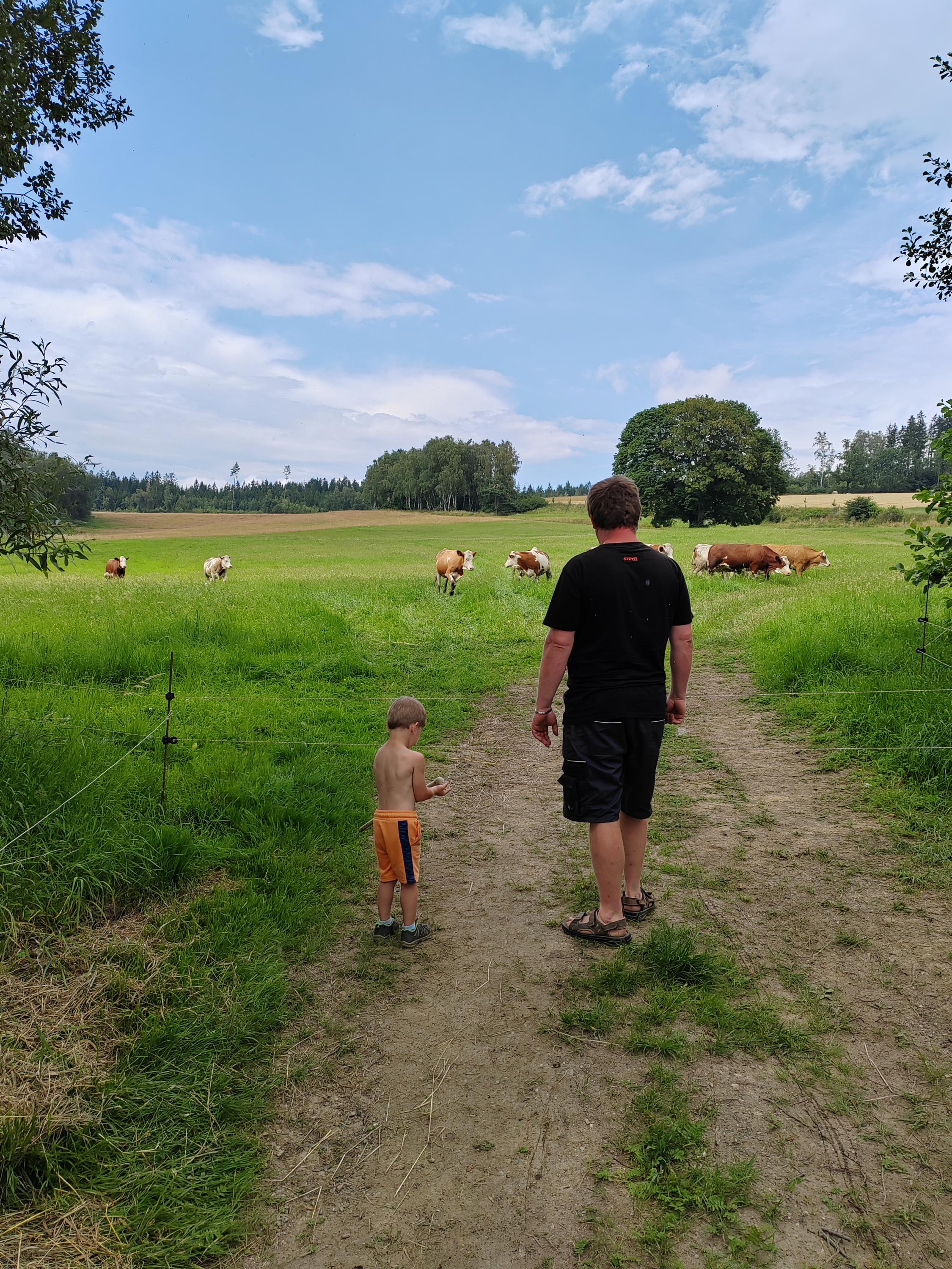 Farma Nejdrovi foto 5