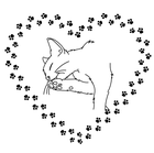 GELOREN Dog L-XL 420g v obchodě Catspremium.cz