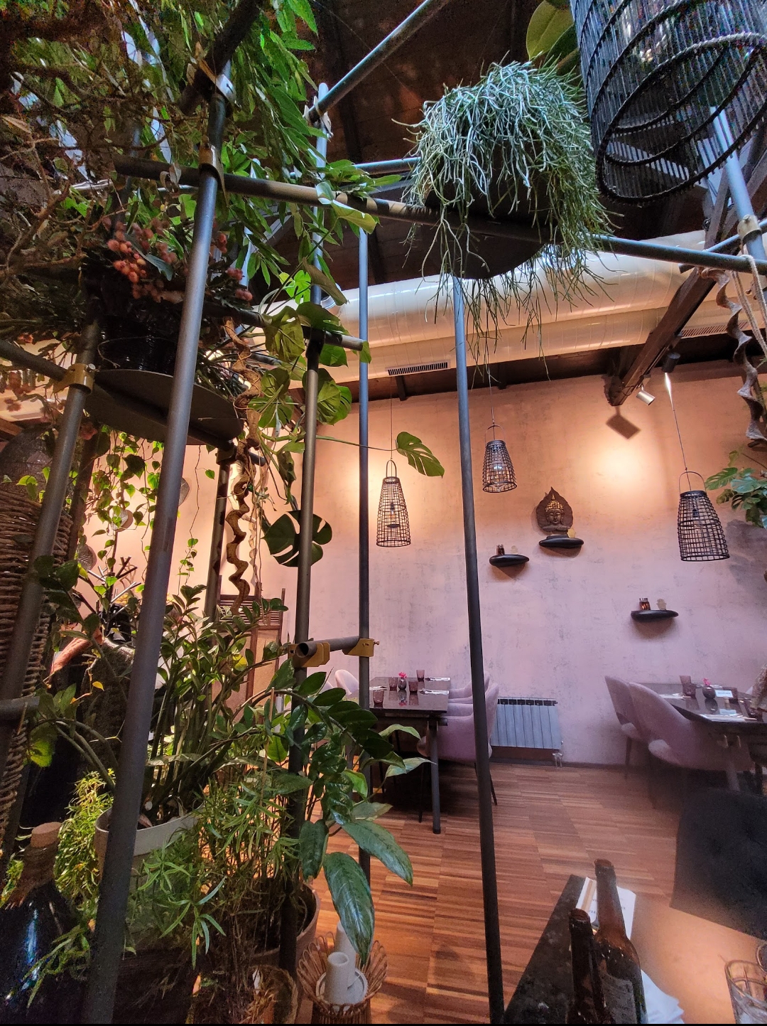 CAFE BUDDHA - škola vaření foto 5