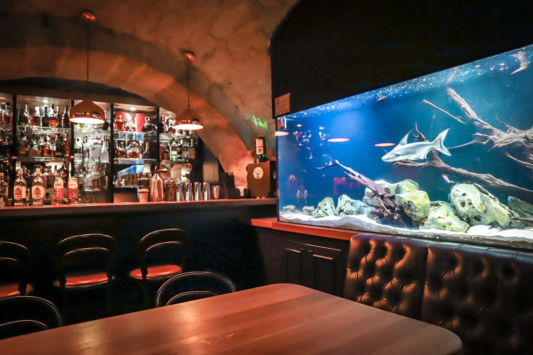 Republika 24 - Music club foto 2