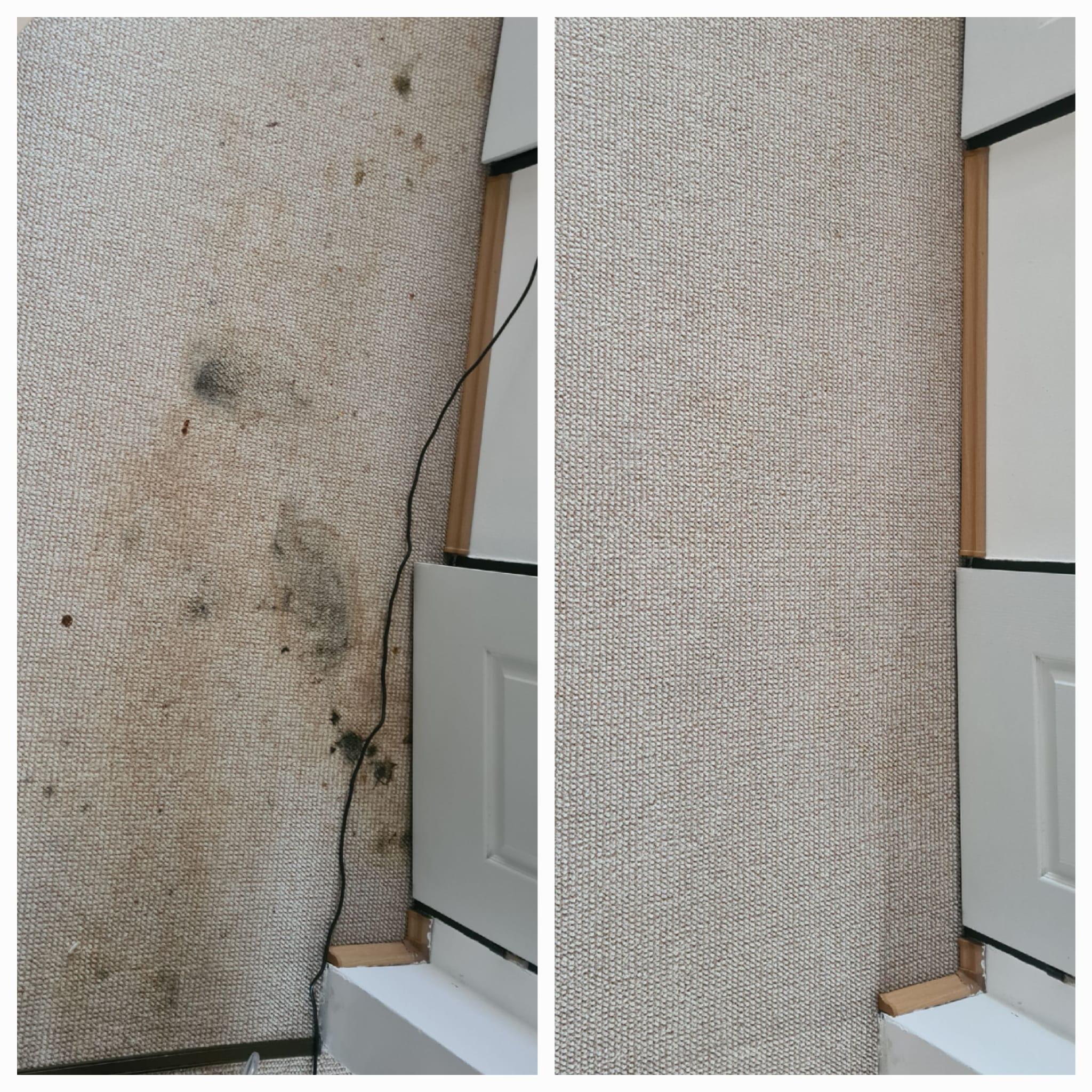 Čistá Pohovka Martin Petřík foto 5