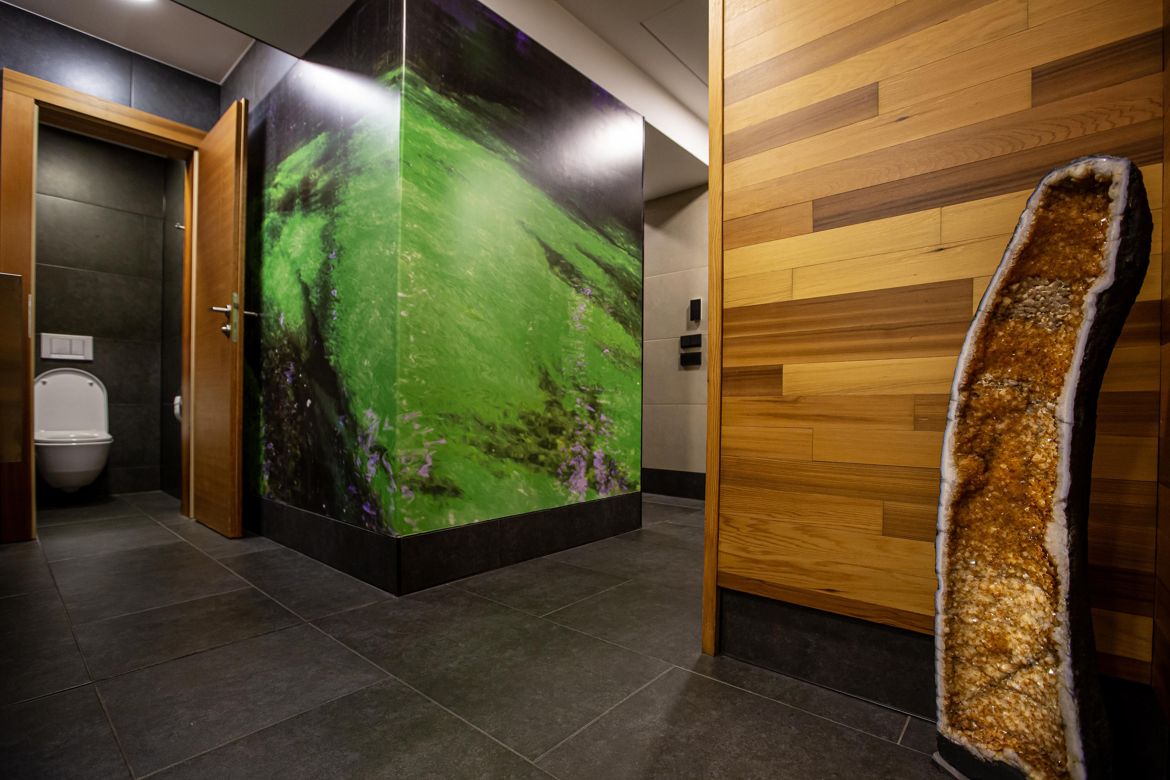 Sokol Wellness foto 3