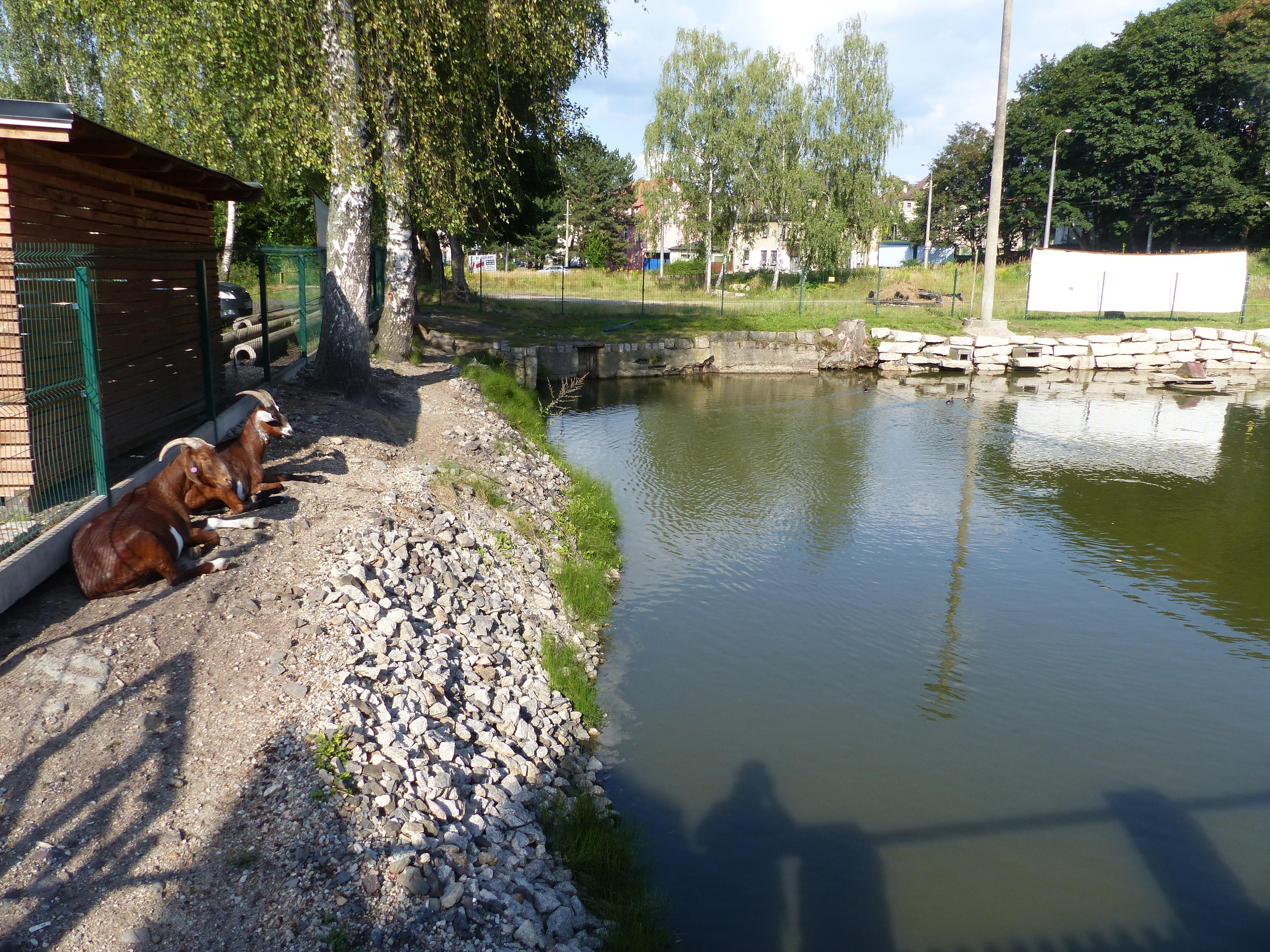 Terasa U Vodníka foto 6