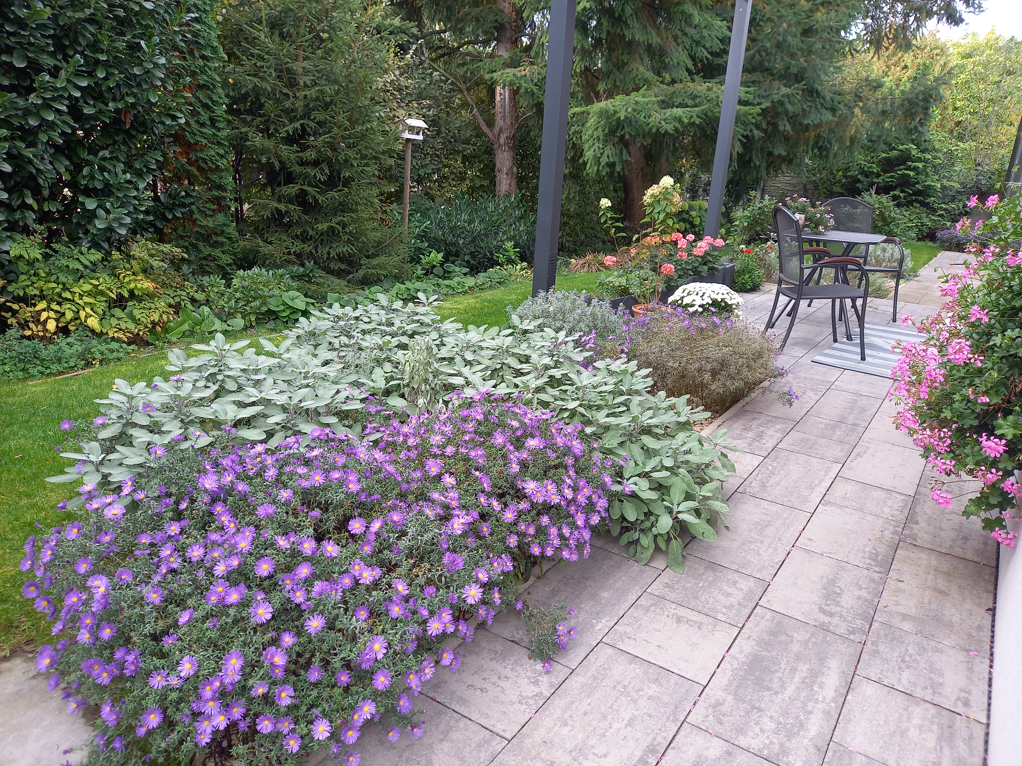 Tereza Gurková - zahradní architekt