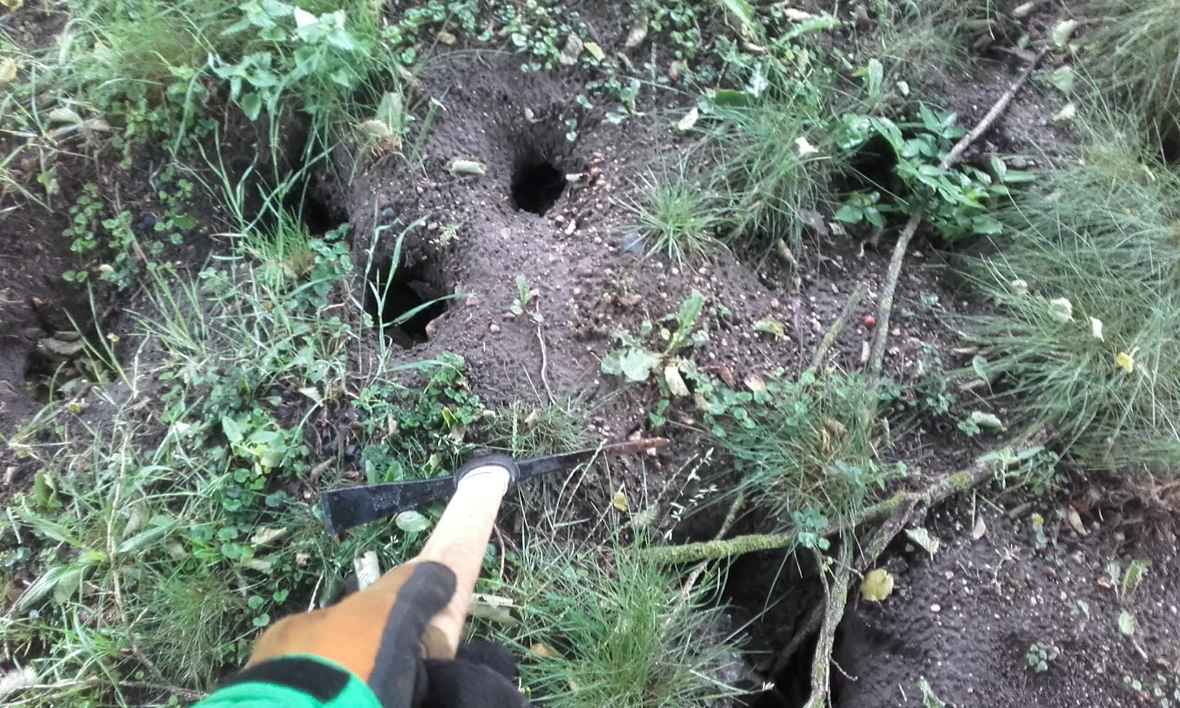 Deratizace NoPest / DDD služby Kučera foto 4