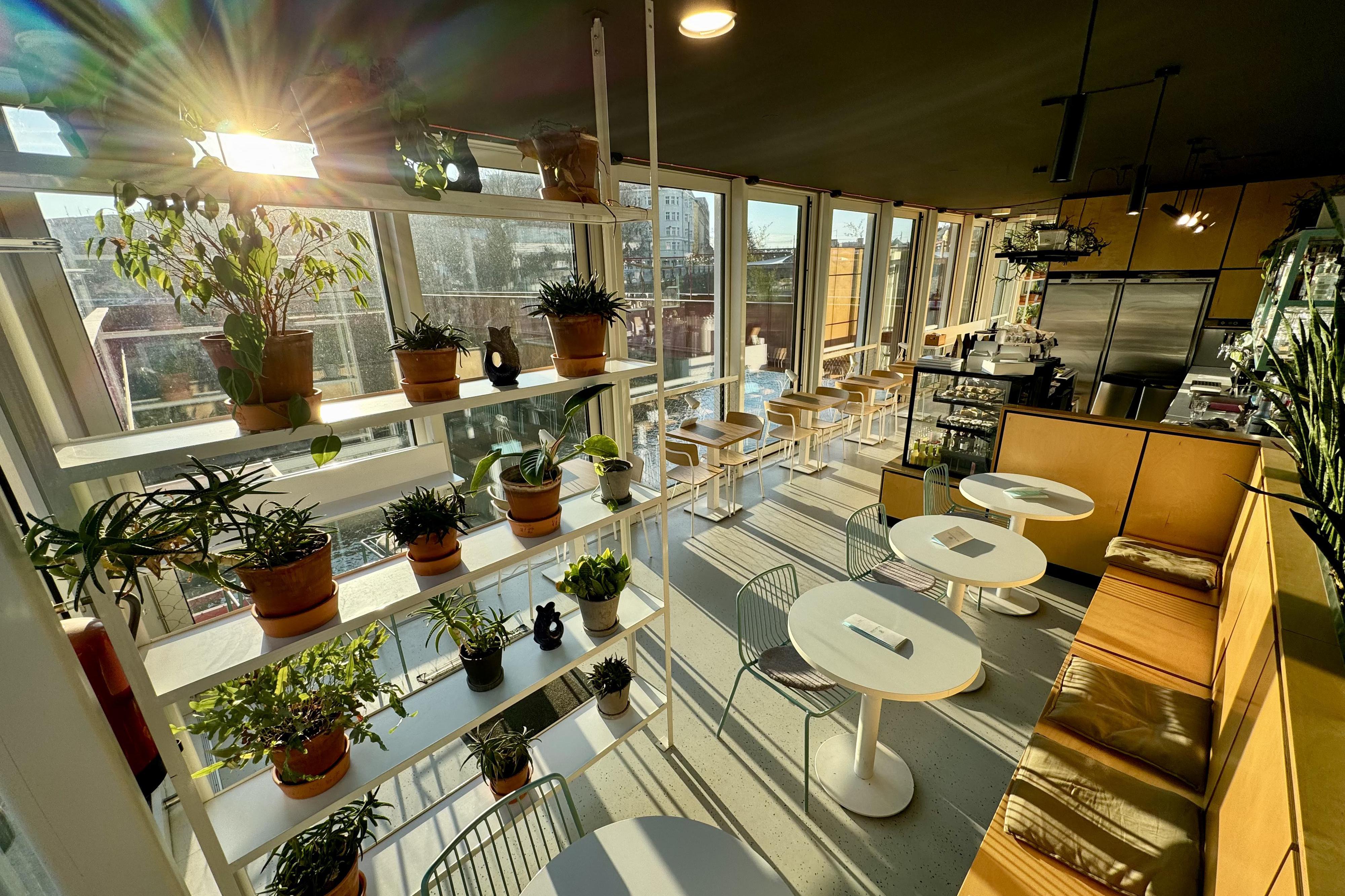 Šálek a špunt na Náplavce