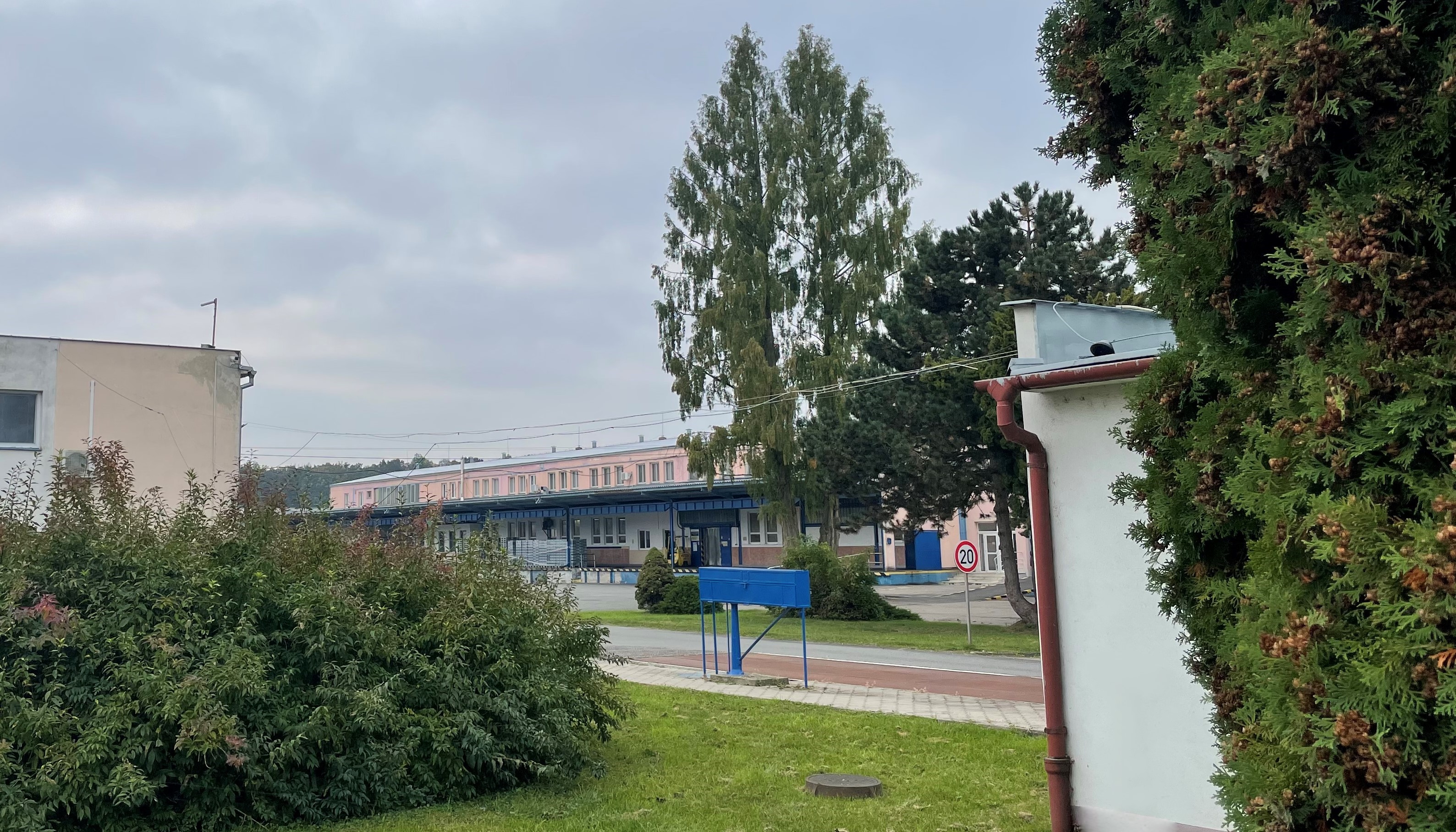 Rochus - Kuřata Siman foto 3