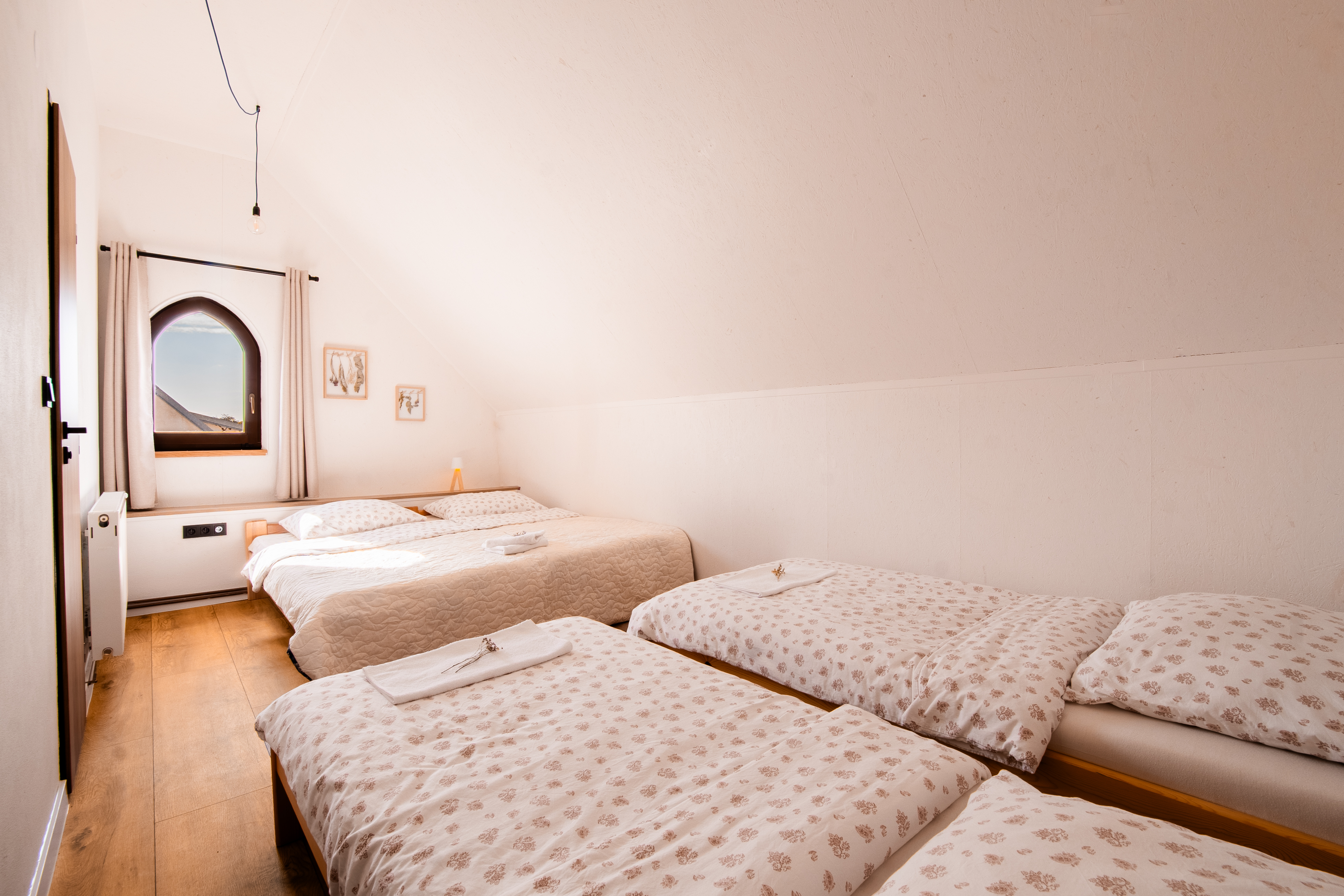 Penzion nad sklepem Vinařství Halkoci foto 4