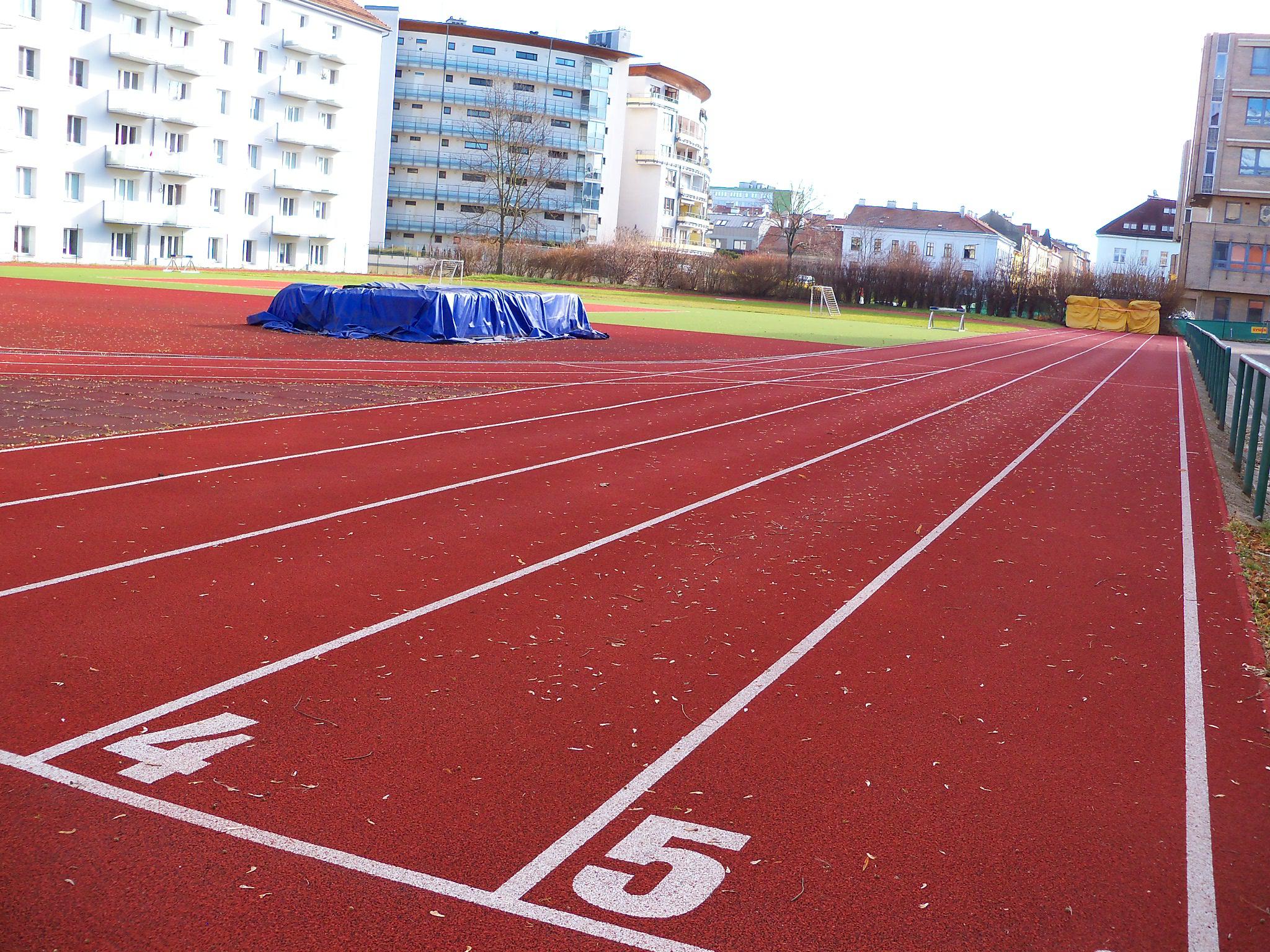 Sportovní gymnázium Ludvíka Daňka foto 3