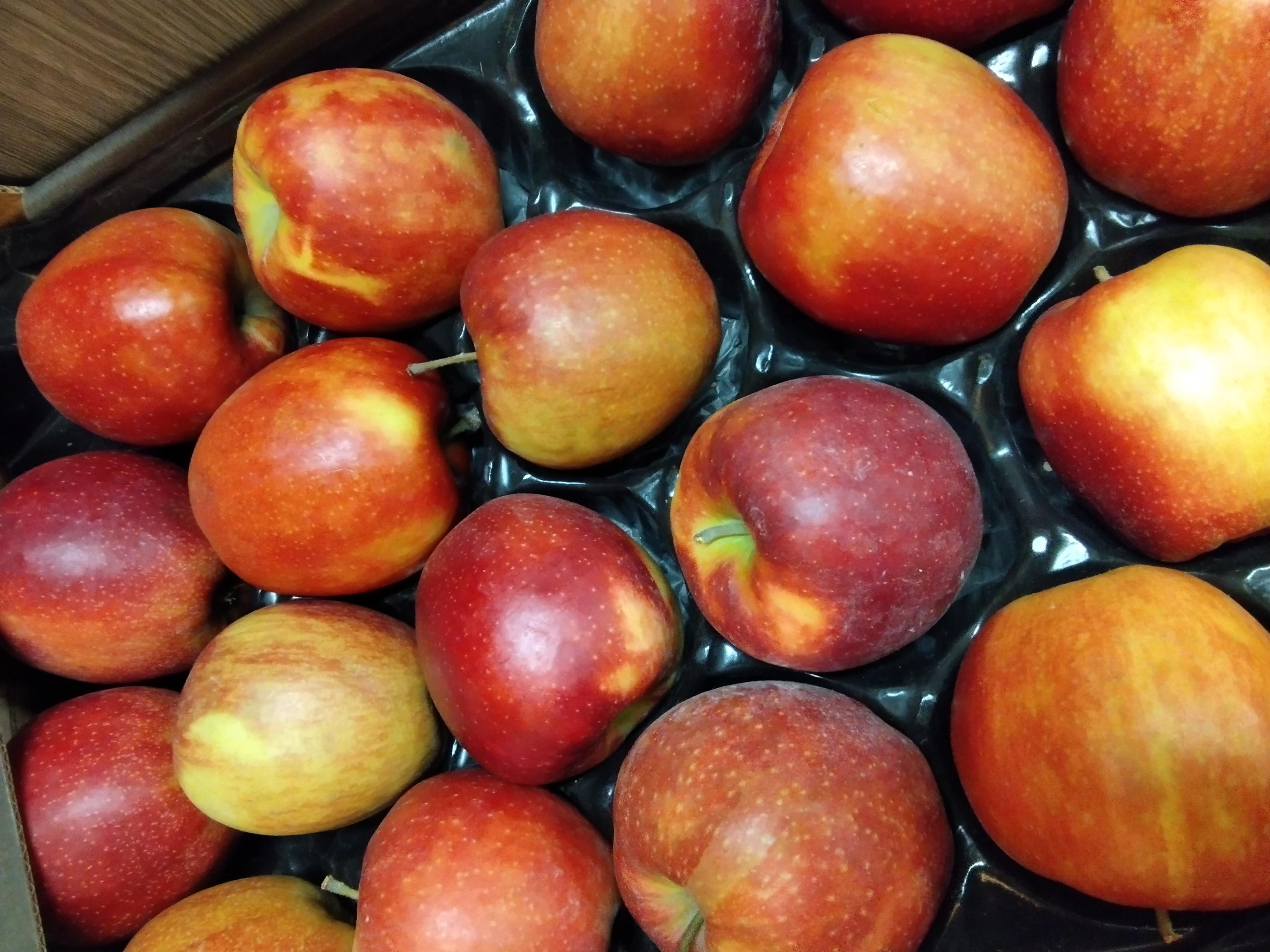 Zahrádkářské potřeby Kroměříž foto 5