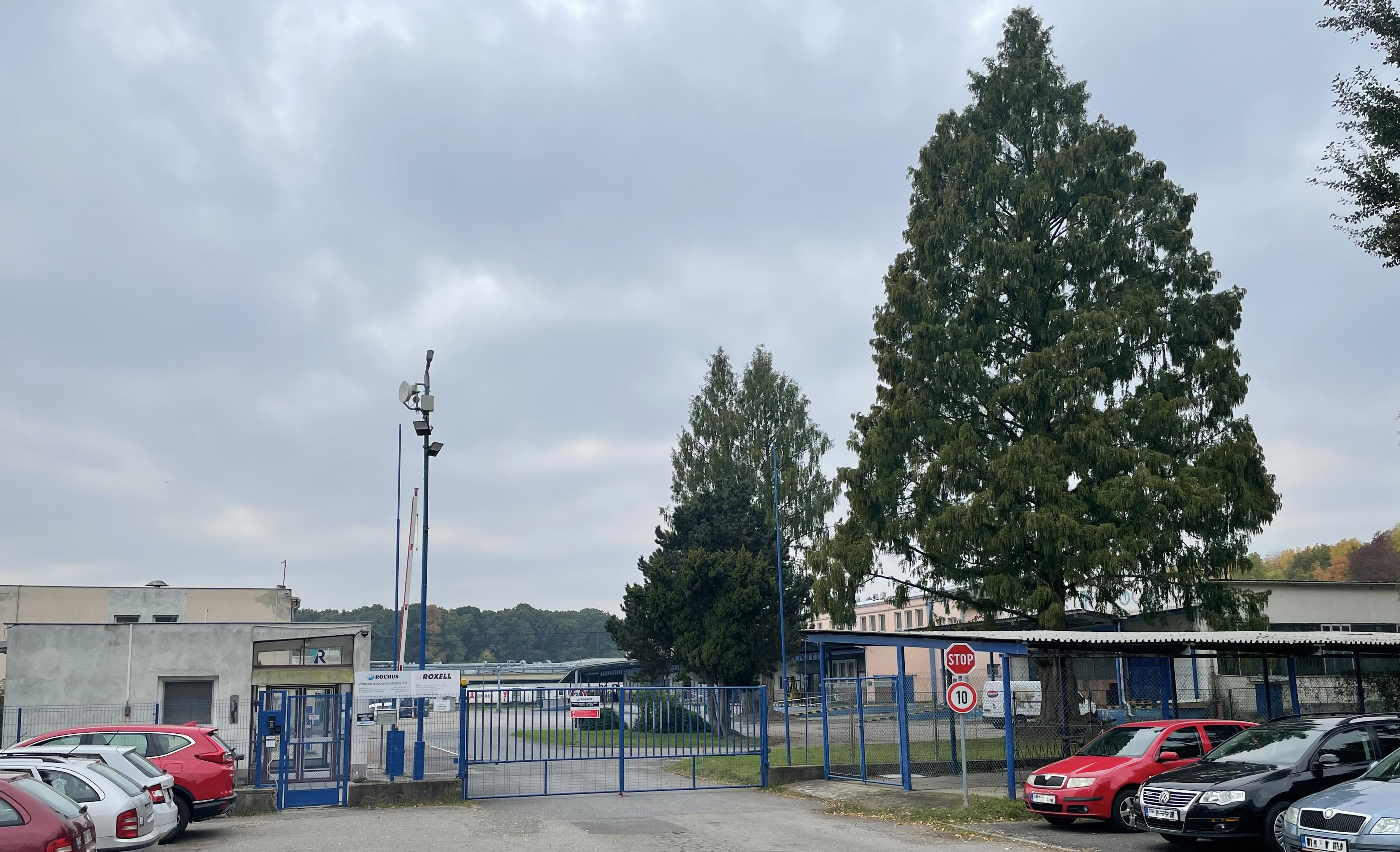 Rochus - Kuřata Siman foto 4