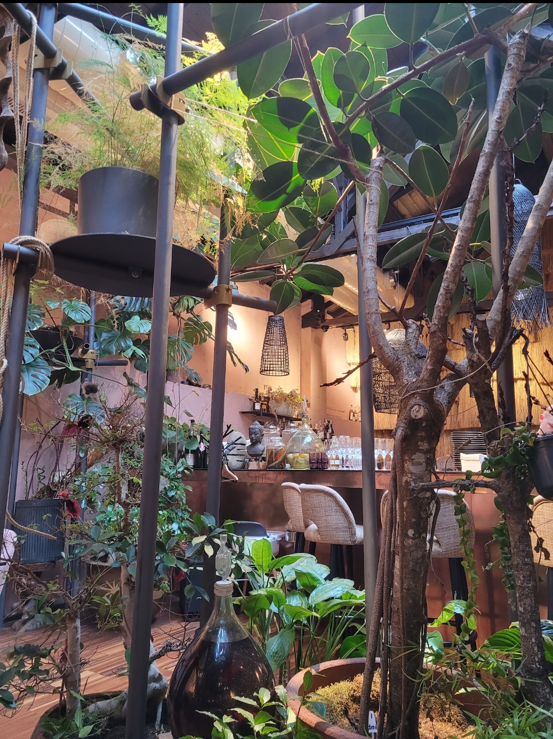 CAFE BUDDHA - škola vaření foto 4