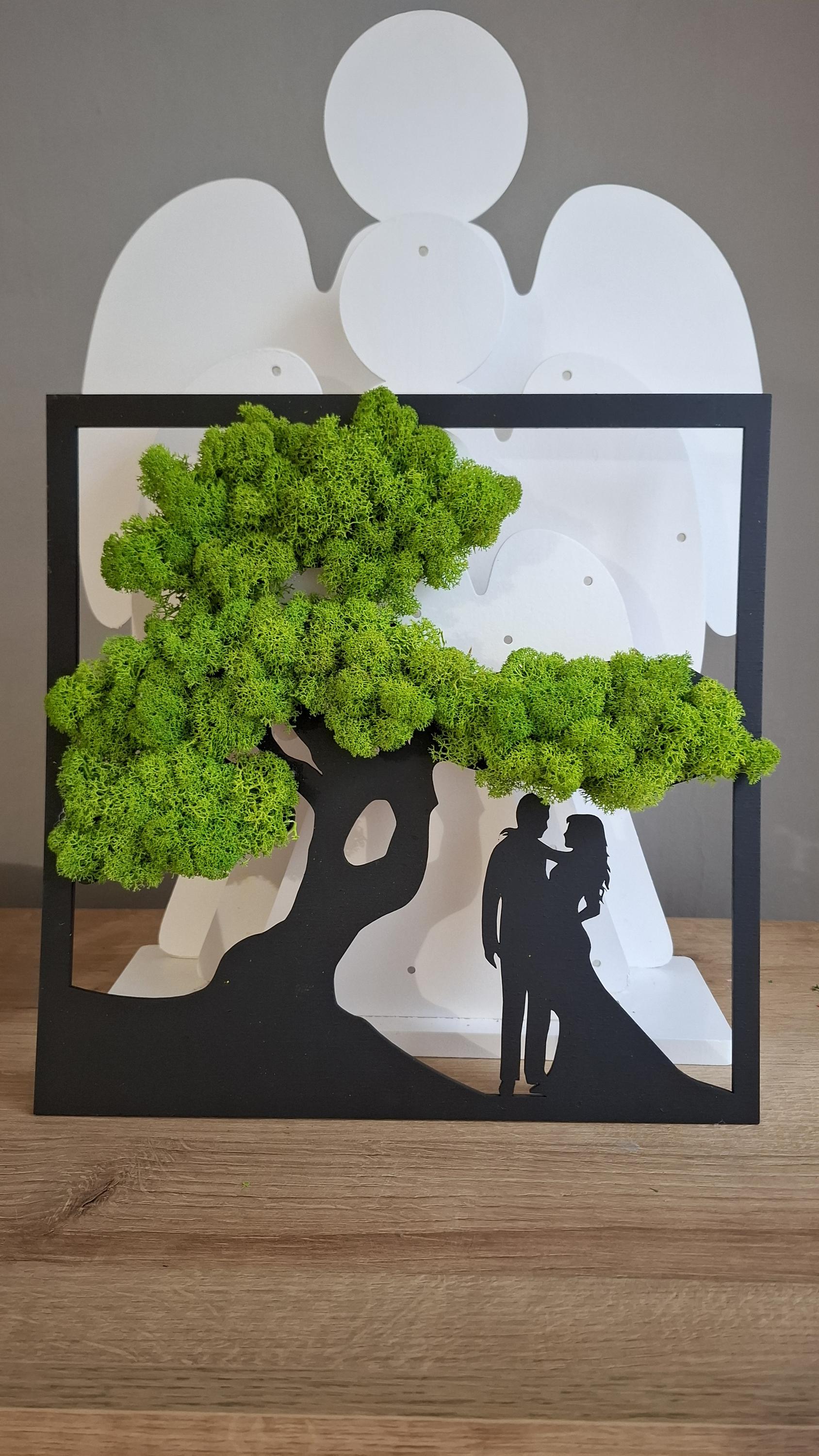 Mechové obrazy, obrazy akrylem - Bc. Olga Čeřovská foto 4