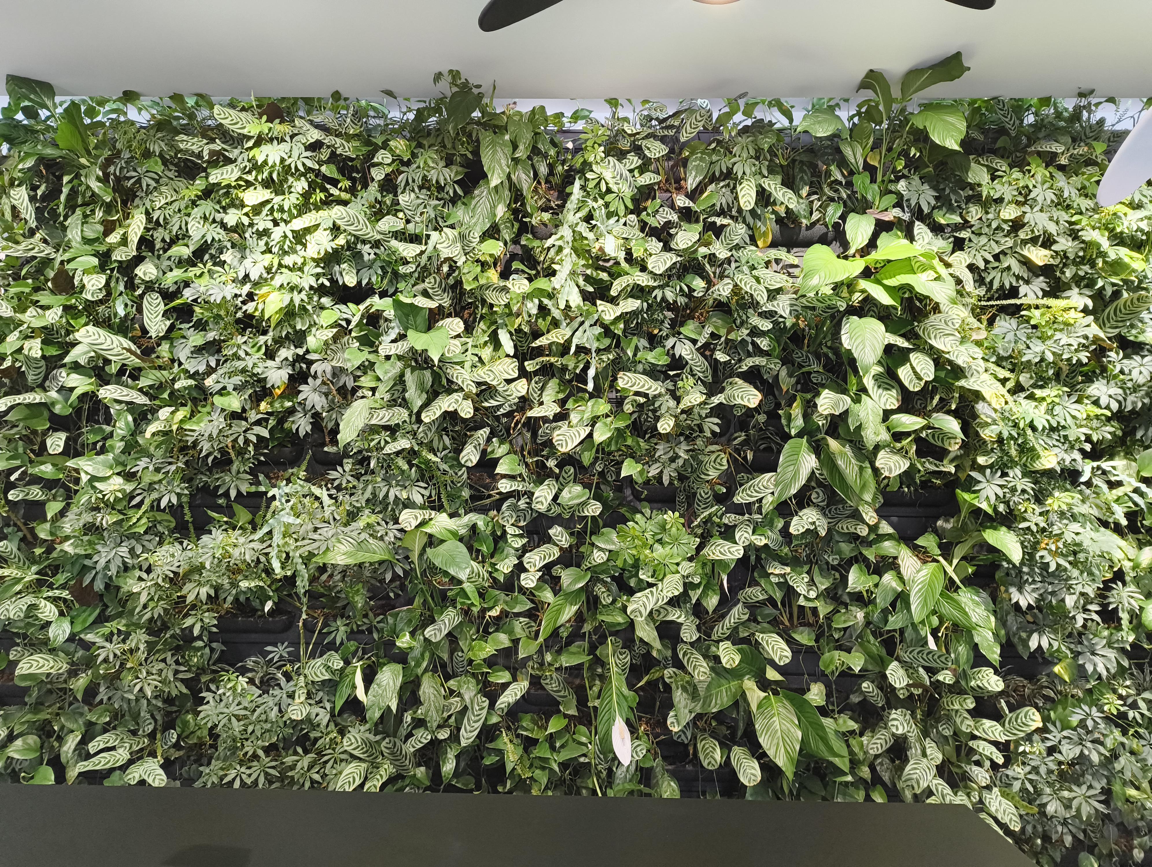 zahrady-vícena foto 2