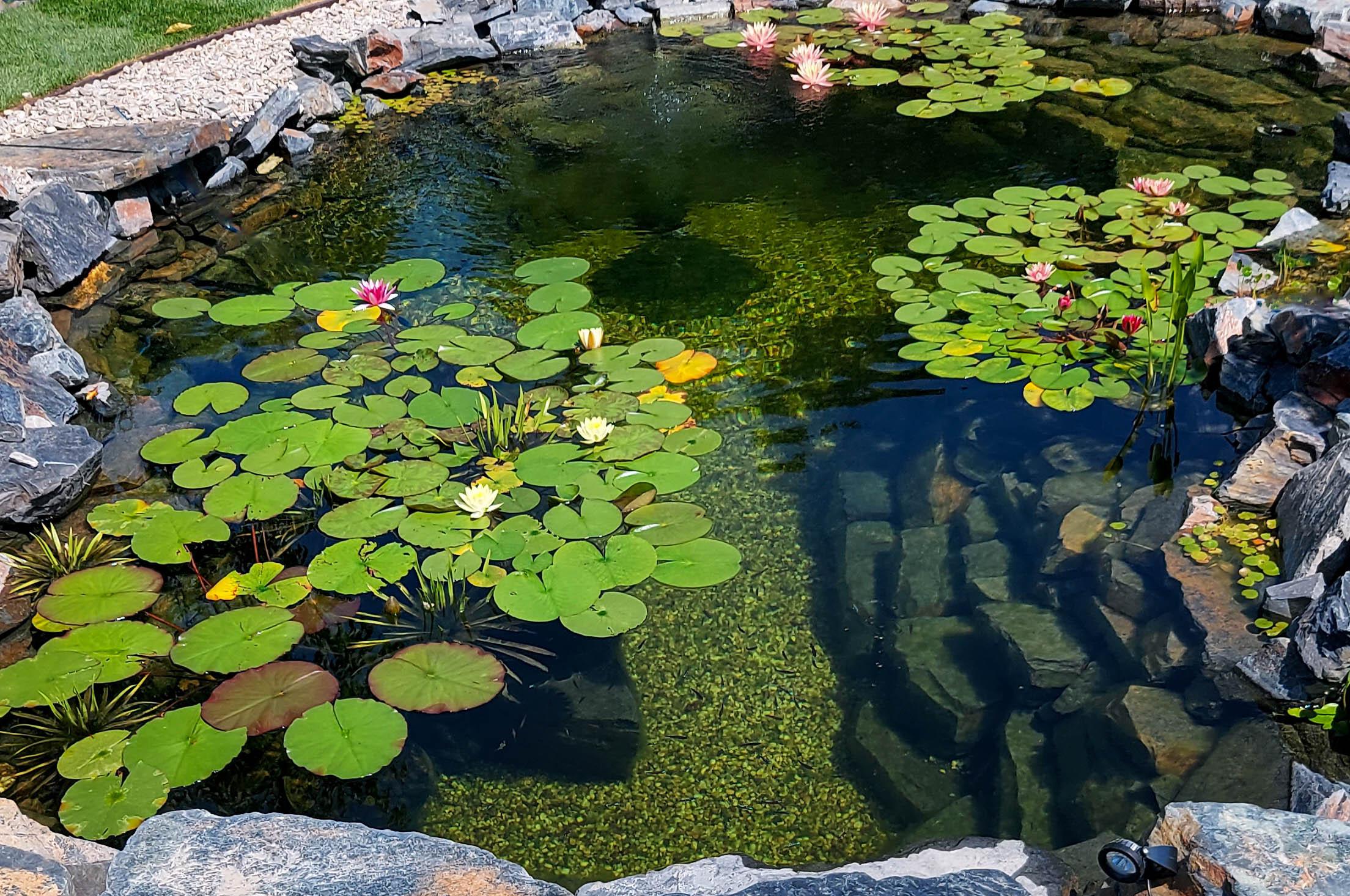 Ozanův statek, s.r.o.