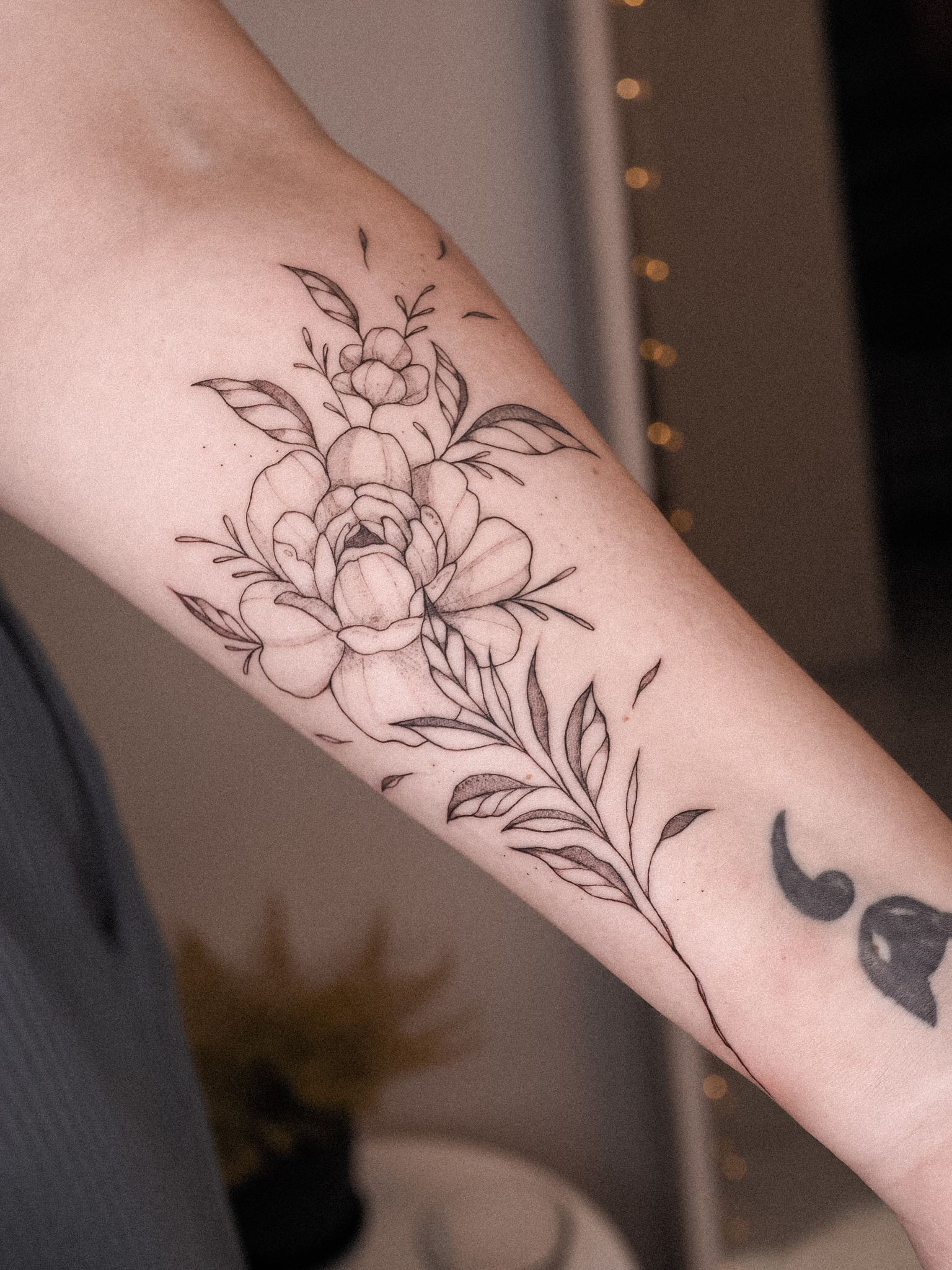 Slečna Anna ink foto 3