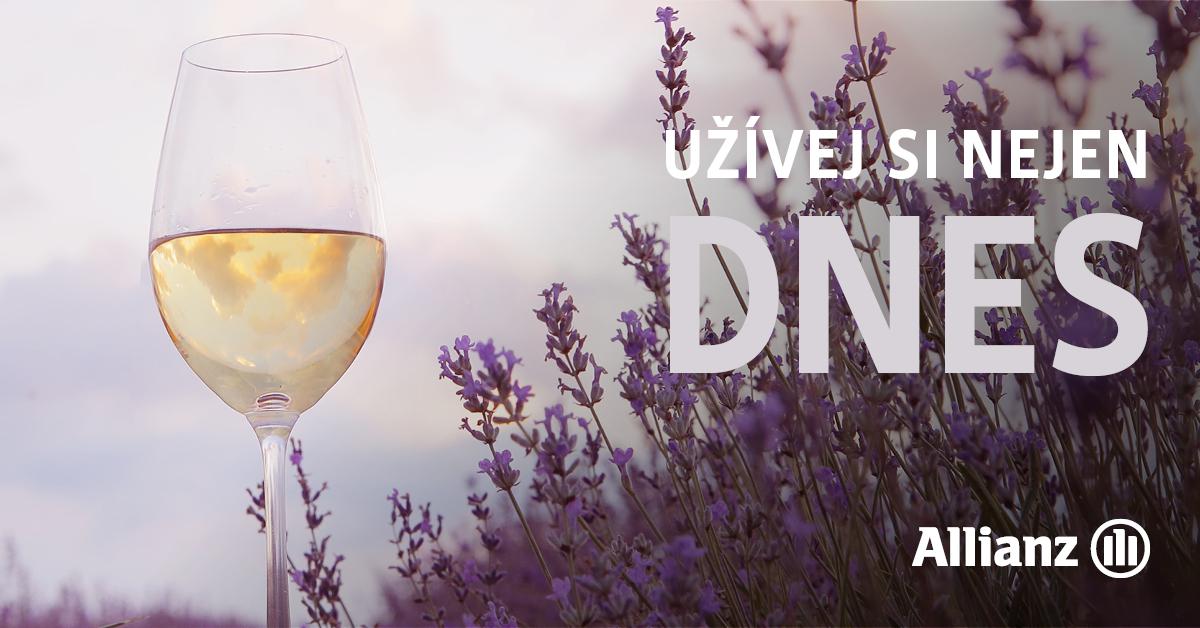 Allianz pojišťovna - Bc. Karel Kostka foto 5