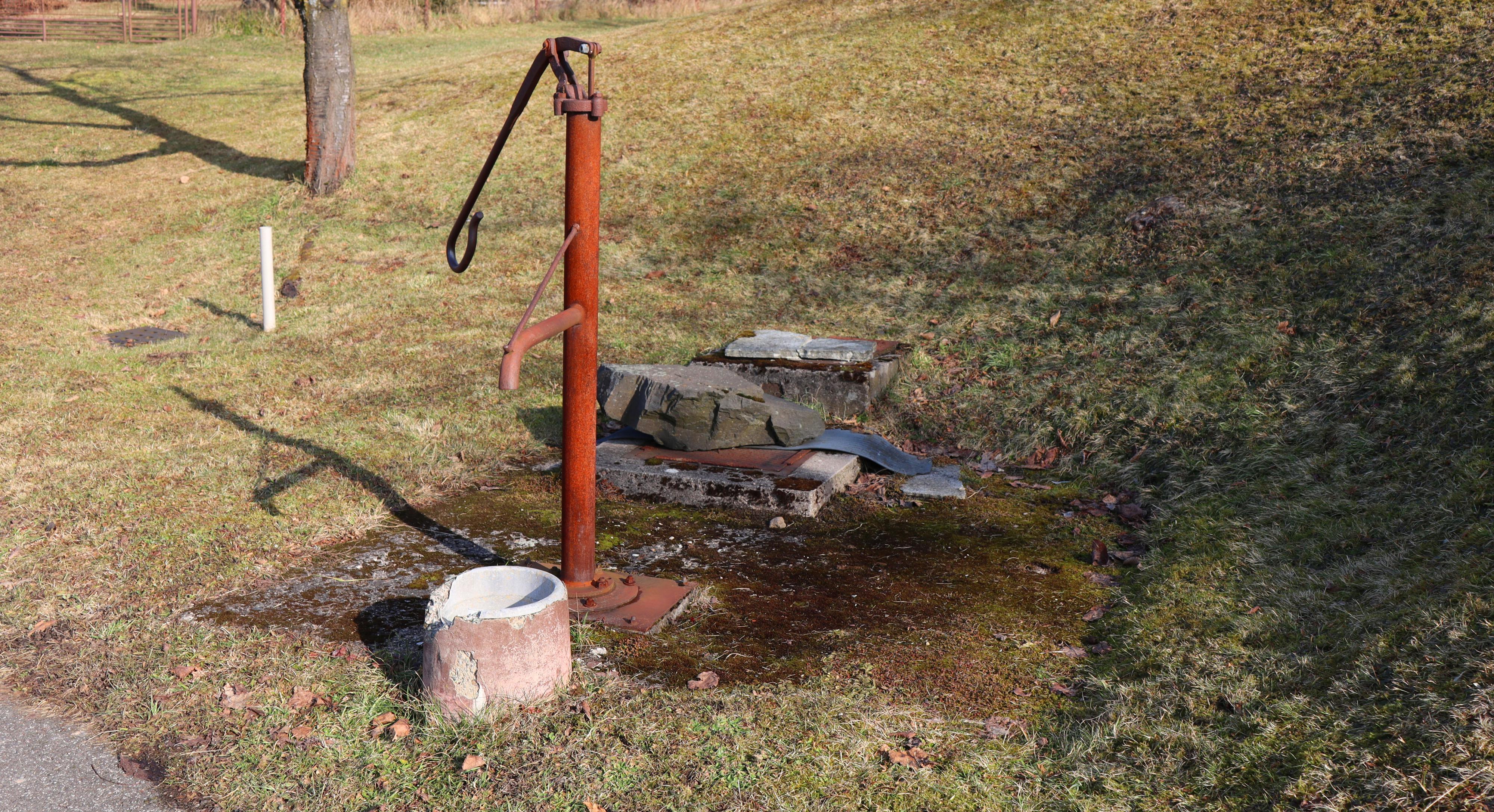 Tělocvičná jednota Sokol Červený Kostelec - Horní foto 4