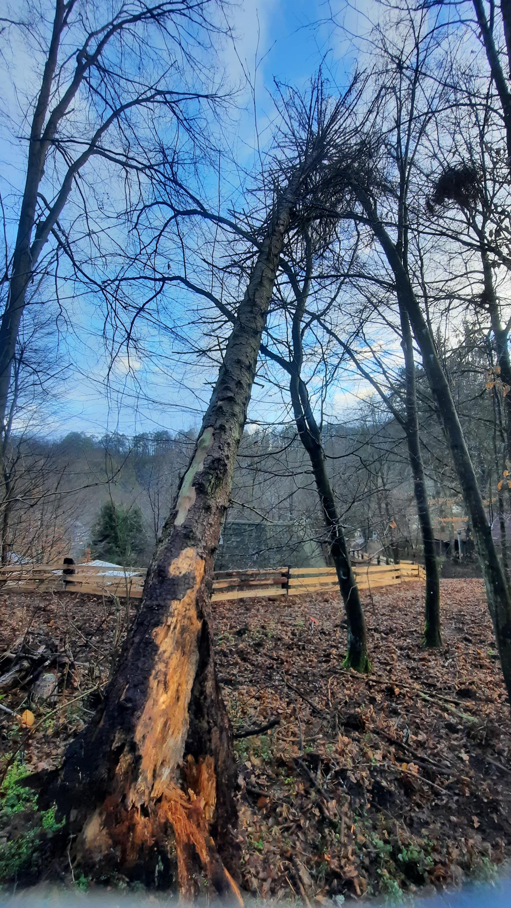 PRACUJEMEVYSOKO.CZ foto 2