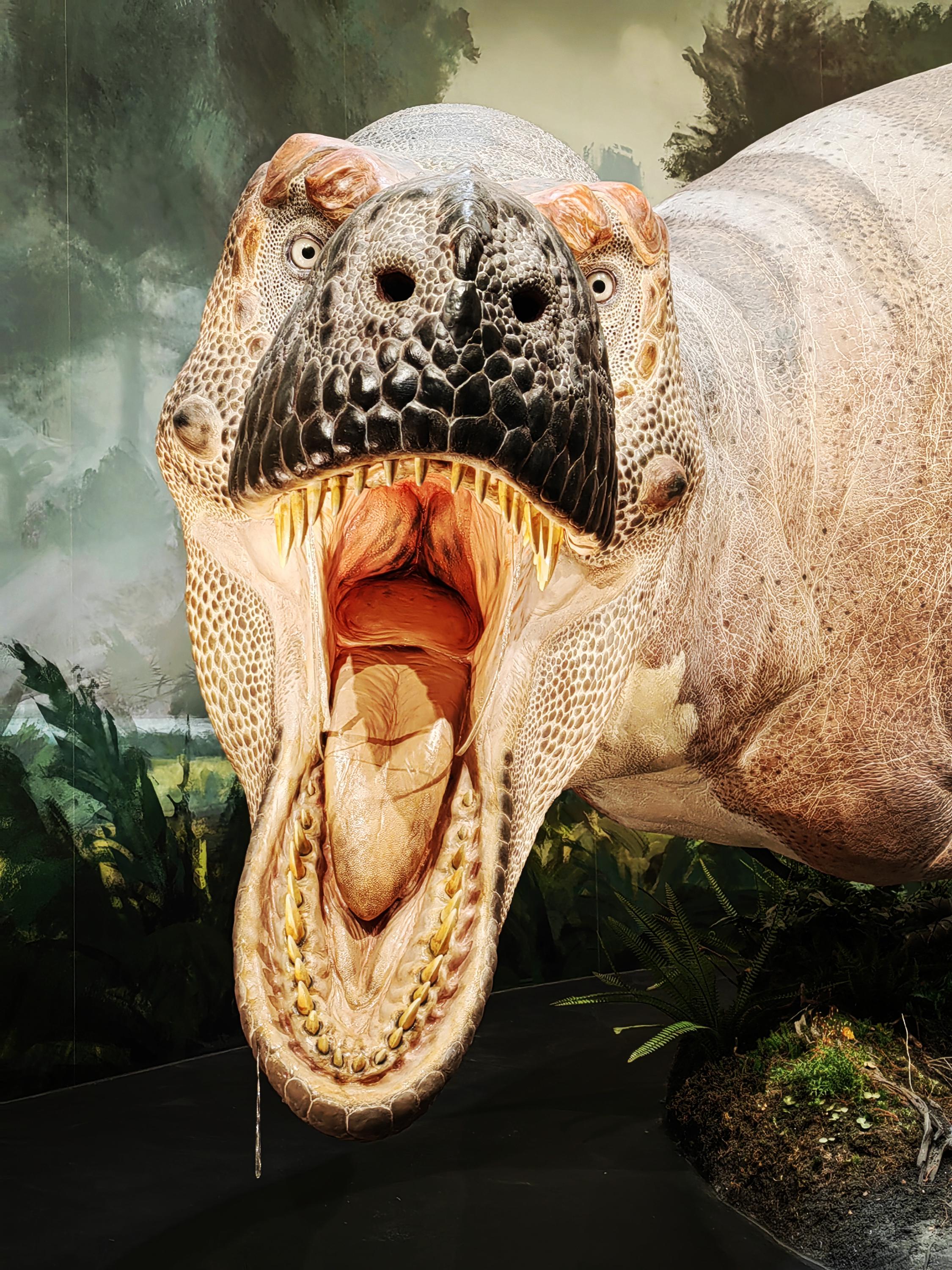 Dinosauria Museum Prague foto 5