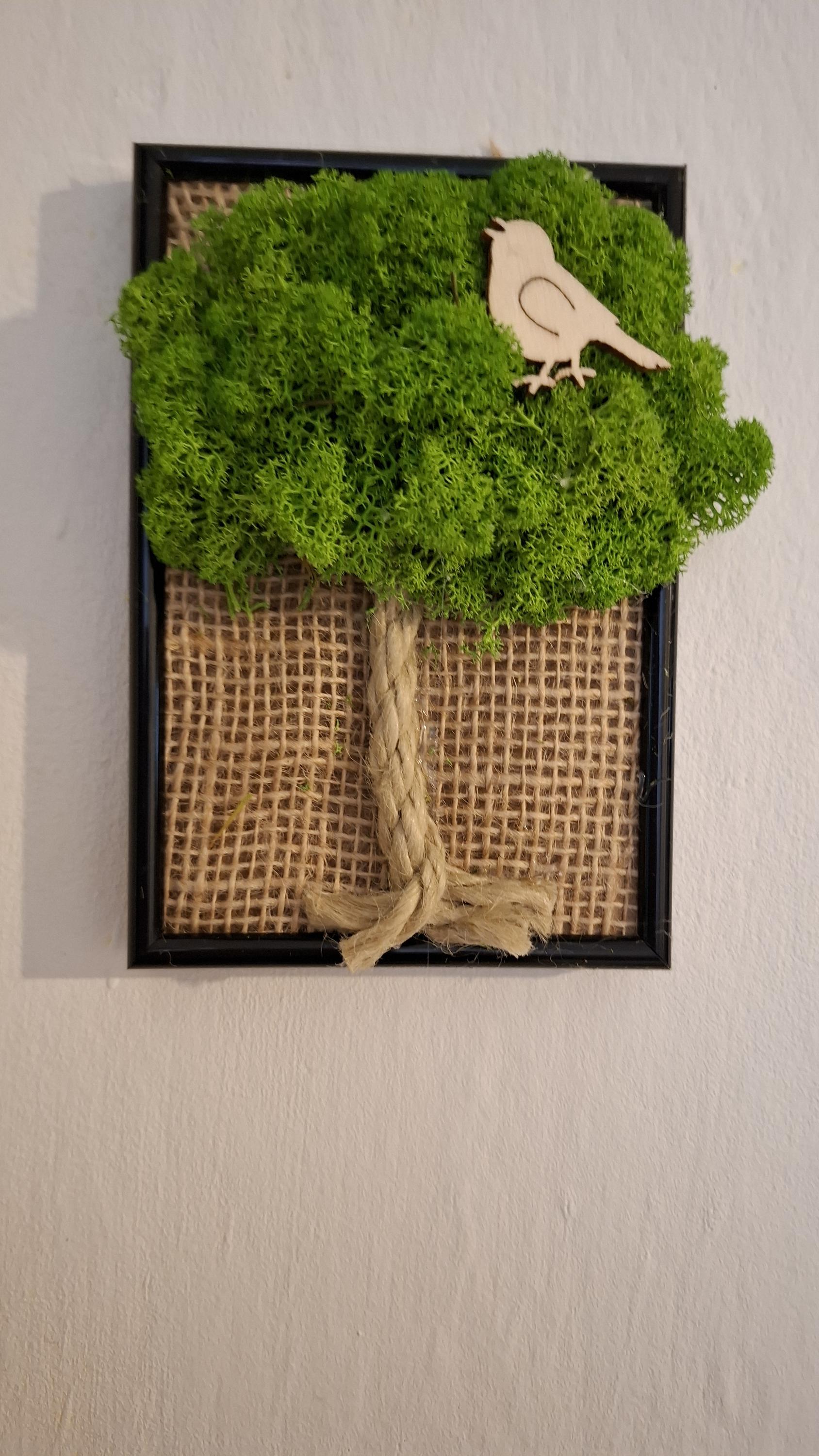 Mechové obrazy, obrazy akrylem - Bc. Olga Čeřovská foto 5