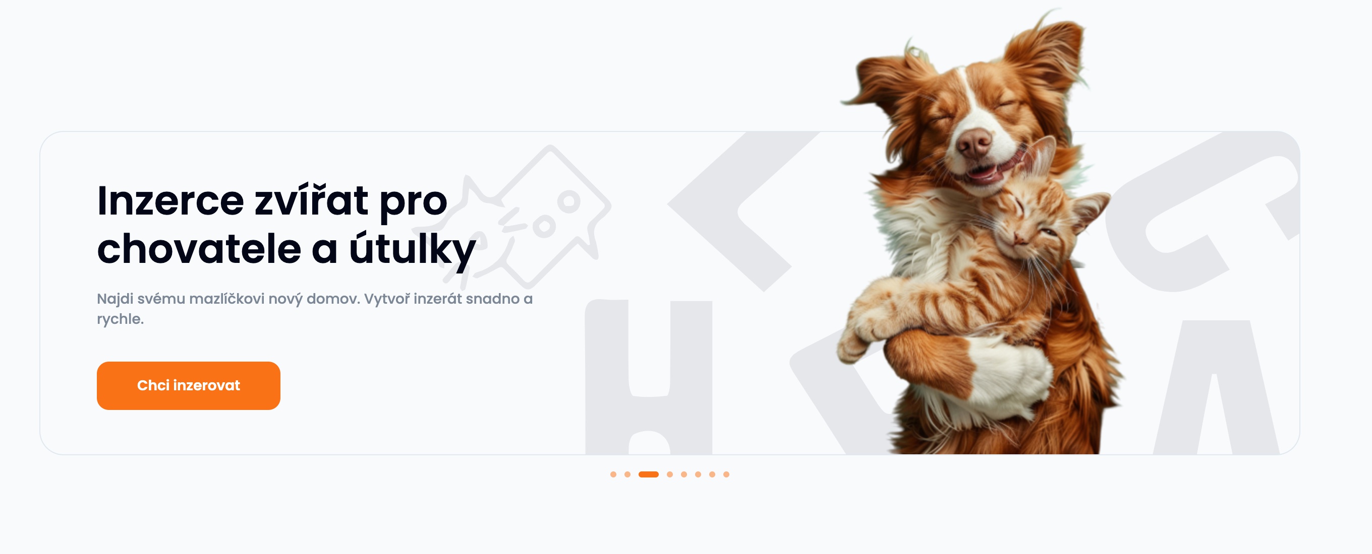 Hledaczvirat.cz | Hledačzvířat foto 2