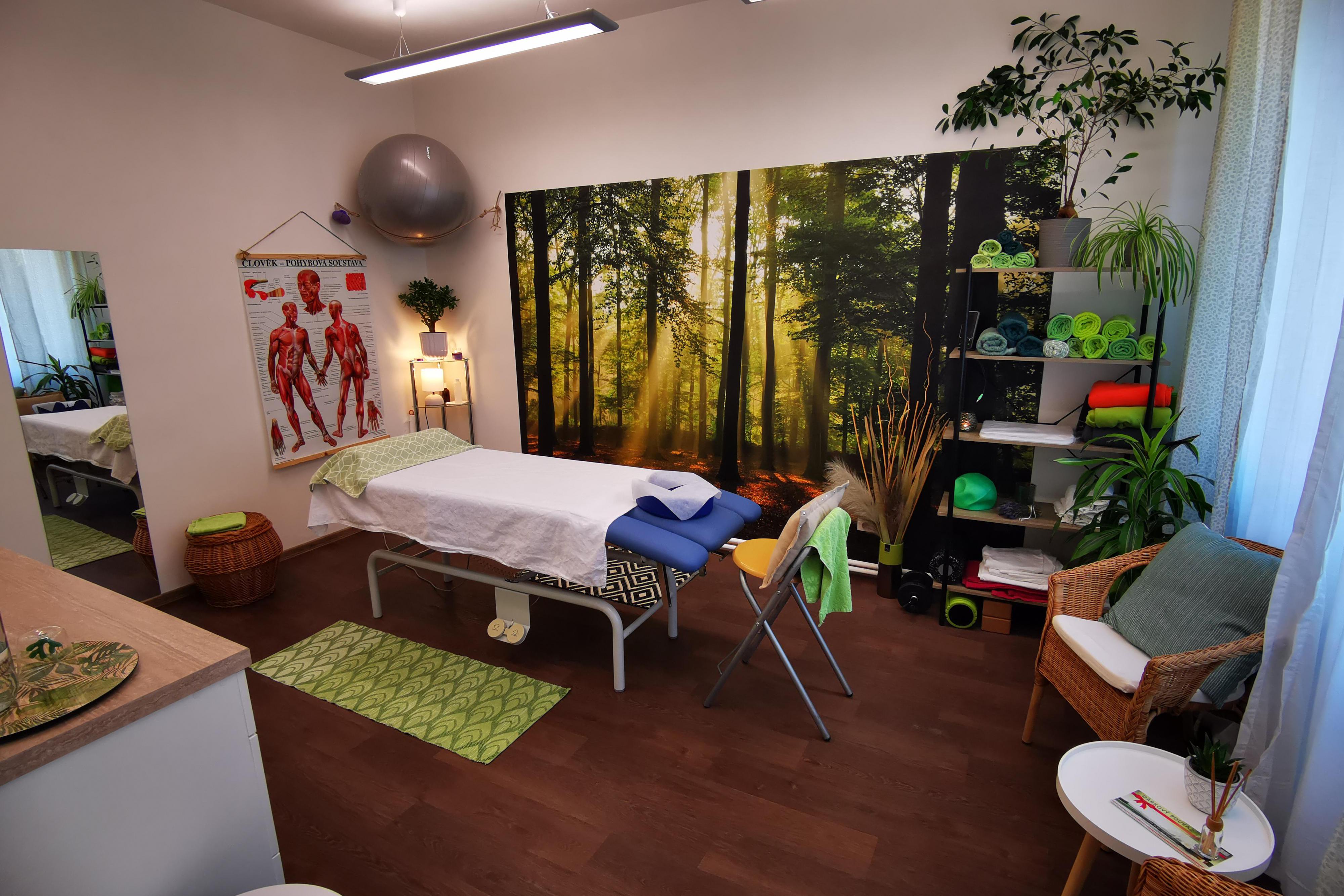 Masáž Děčín Bc. Kamila Langová fyzioterapeutka