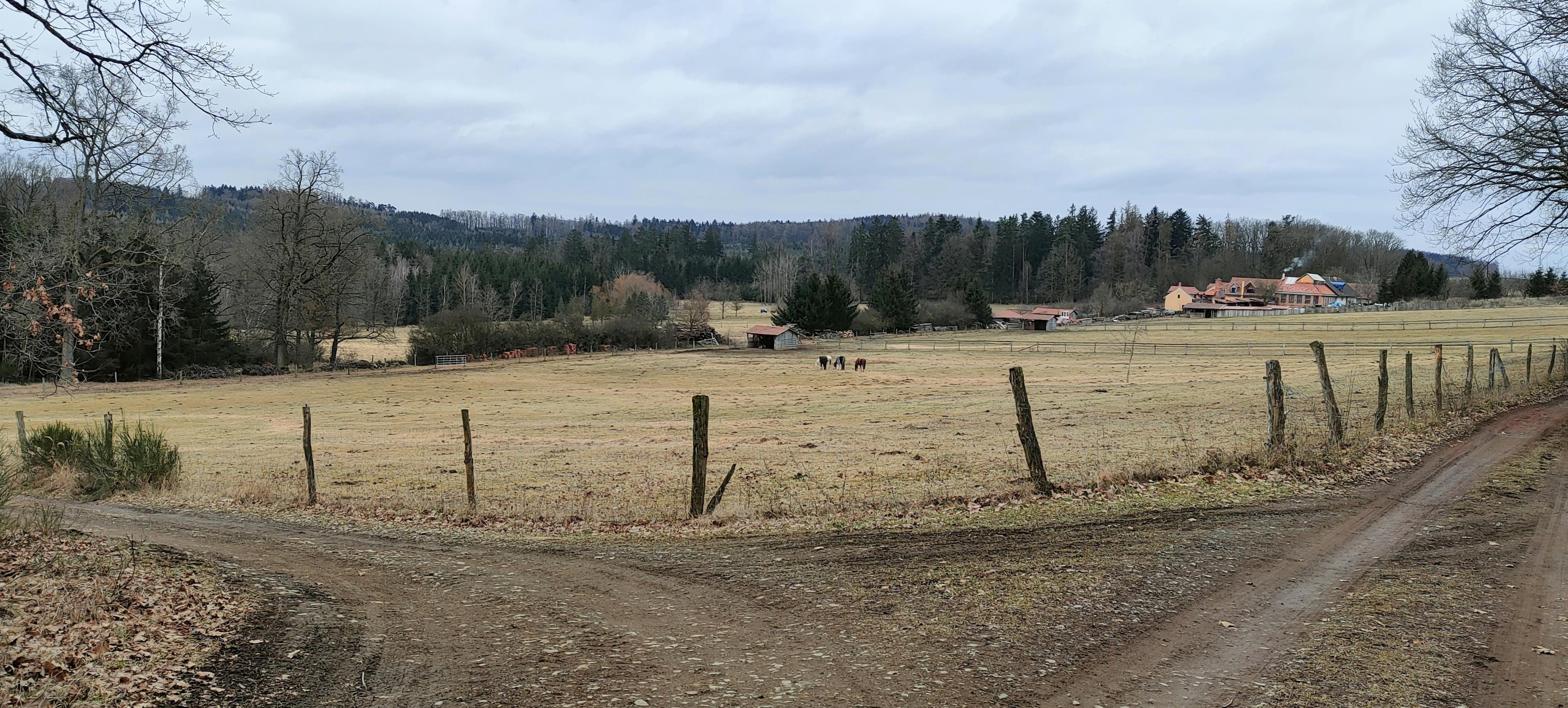 Ranch Violet foto 6