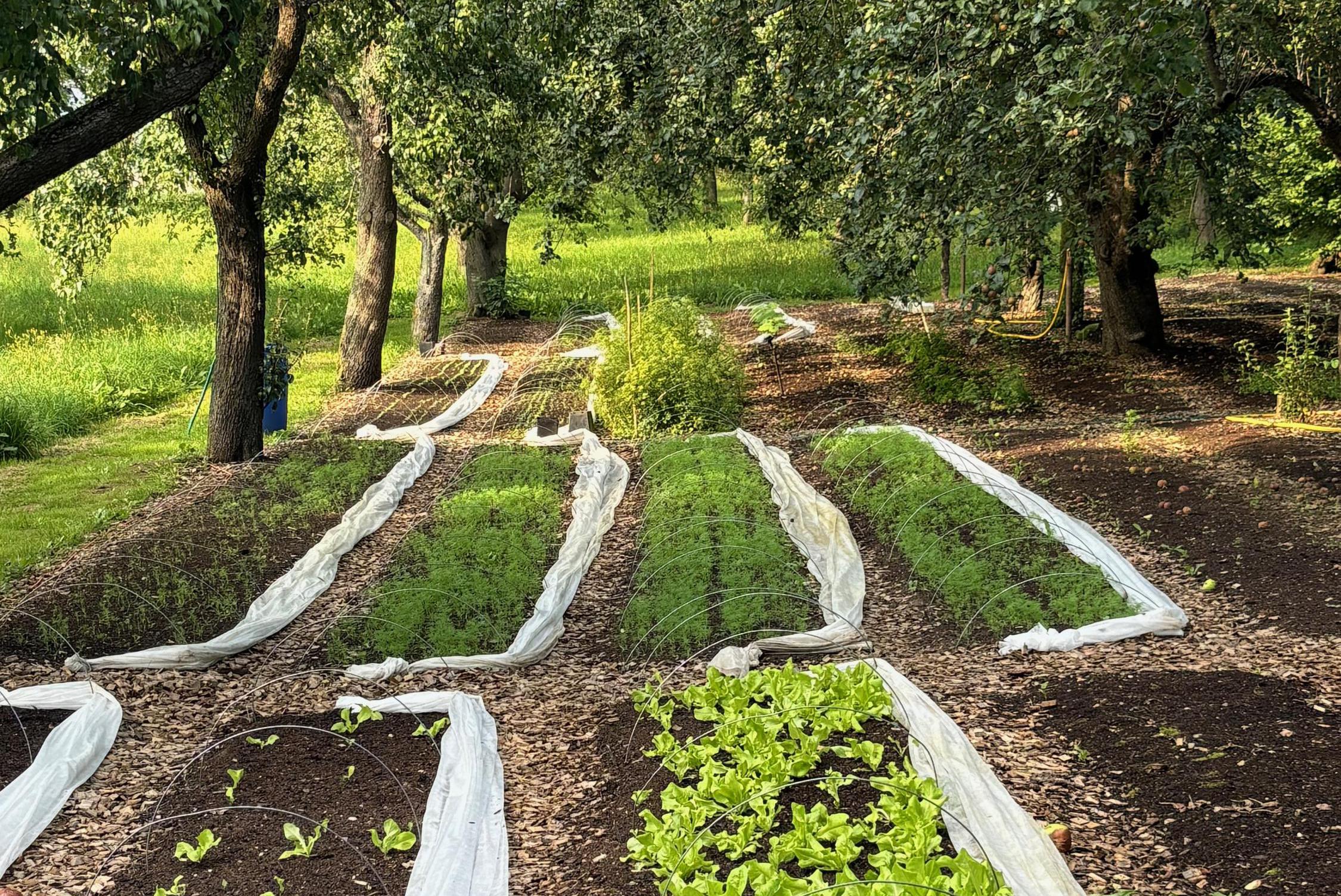 Biofarma Ludmila s.r.o.