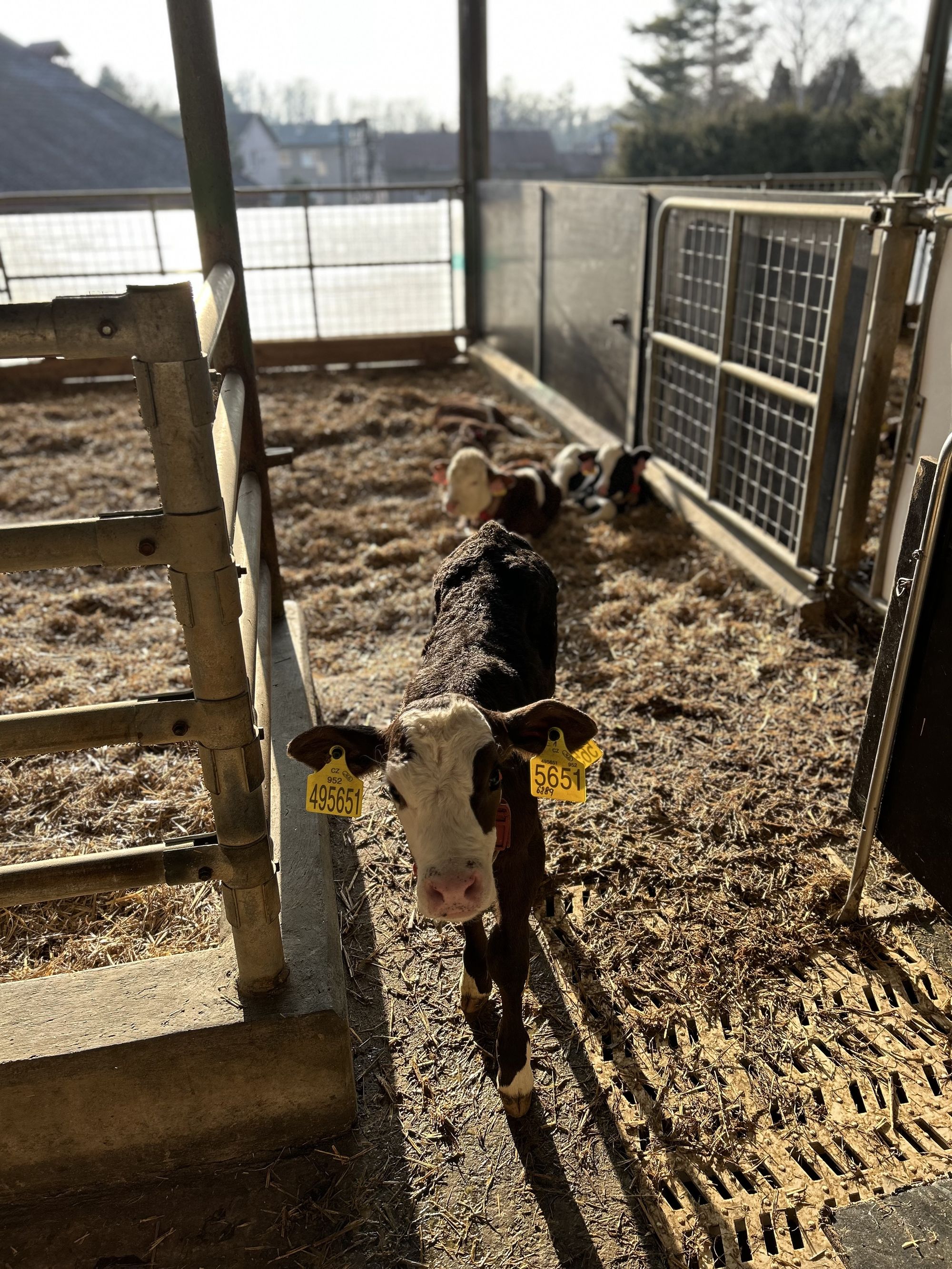 Farma Skutil foto 3