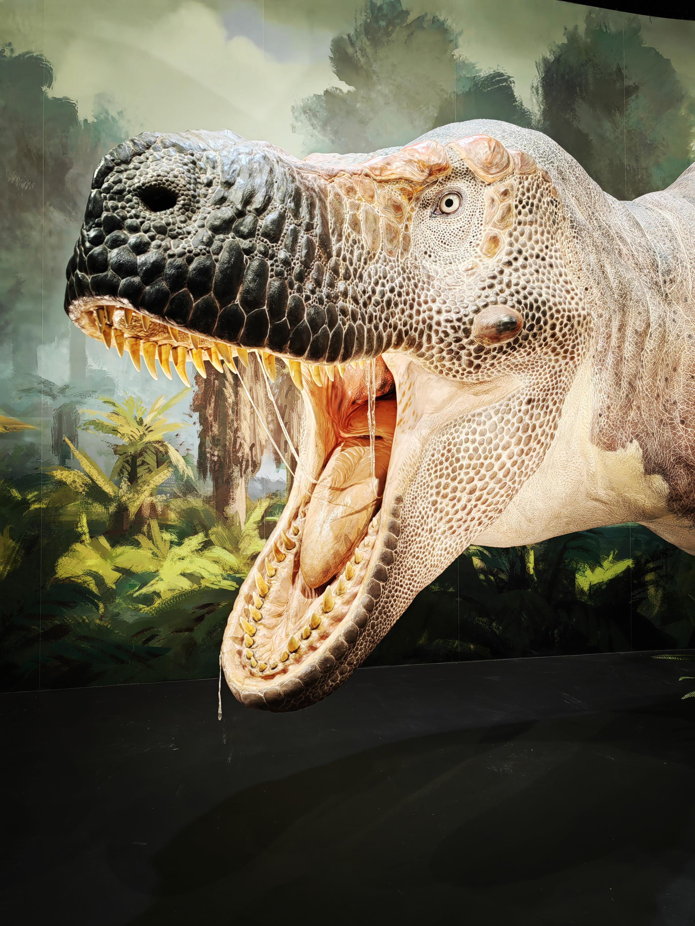 Dinosauria Museum Prague foto 4