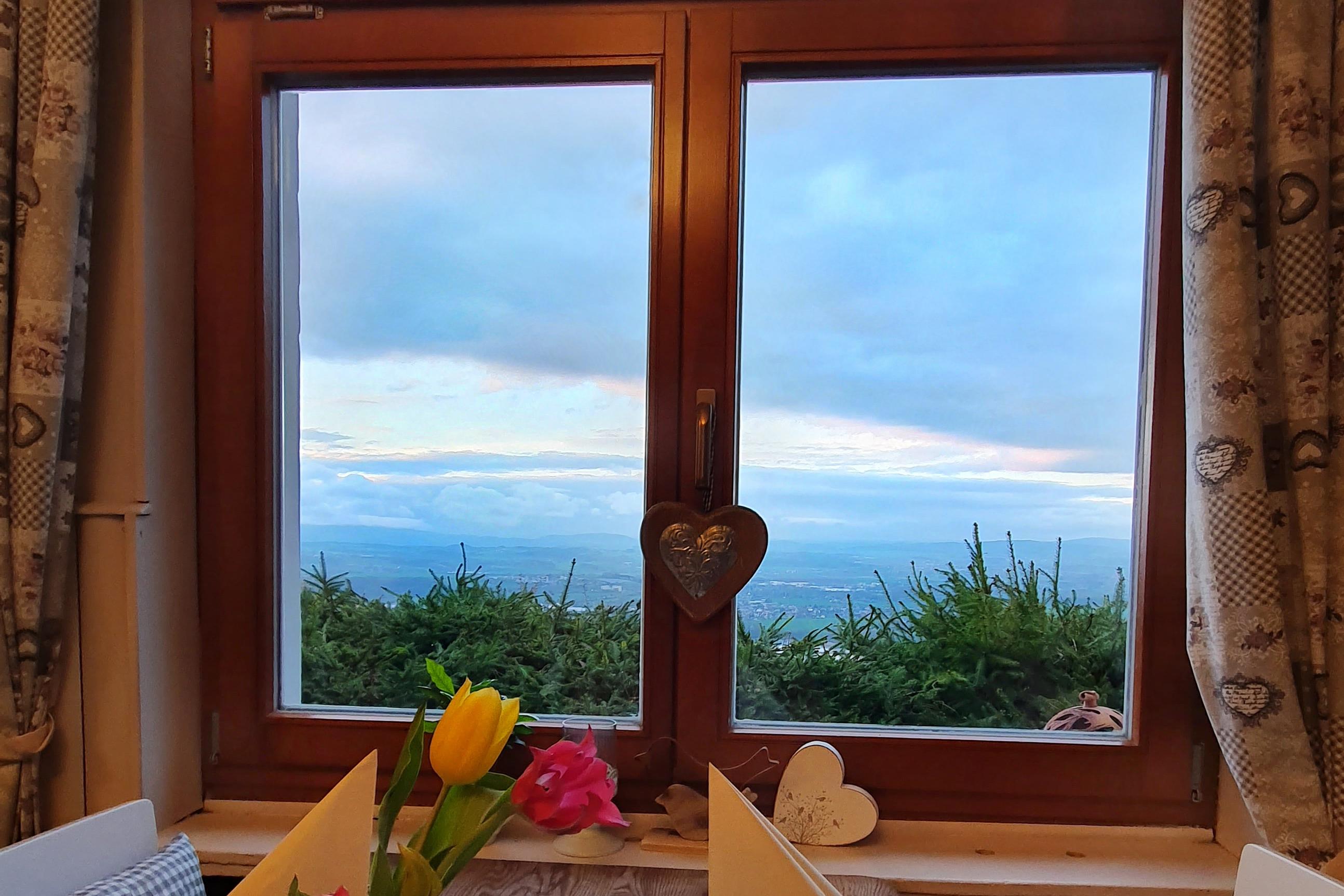 Opravy a servis plastových oken a dveří