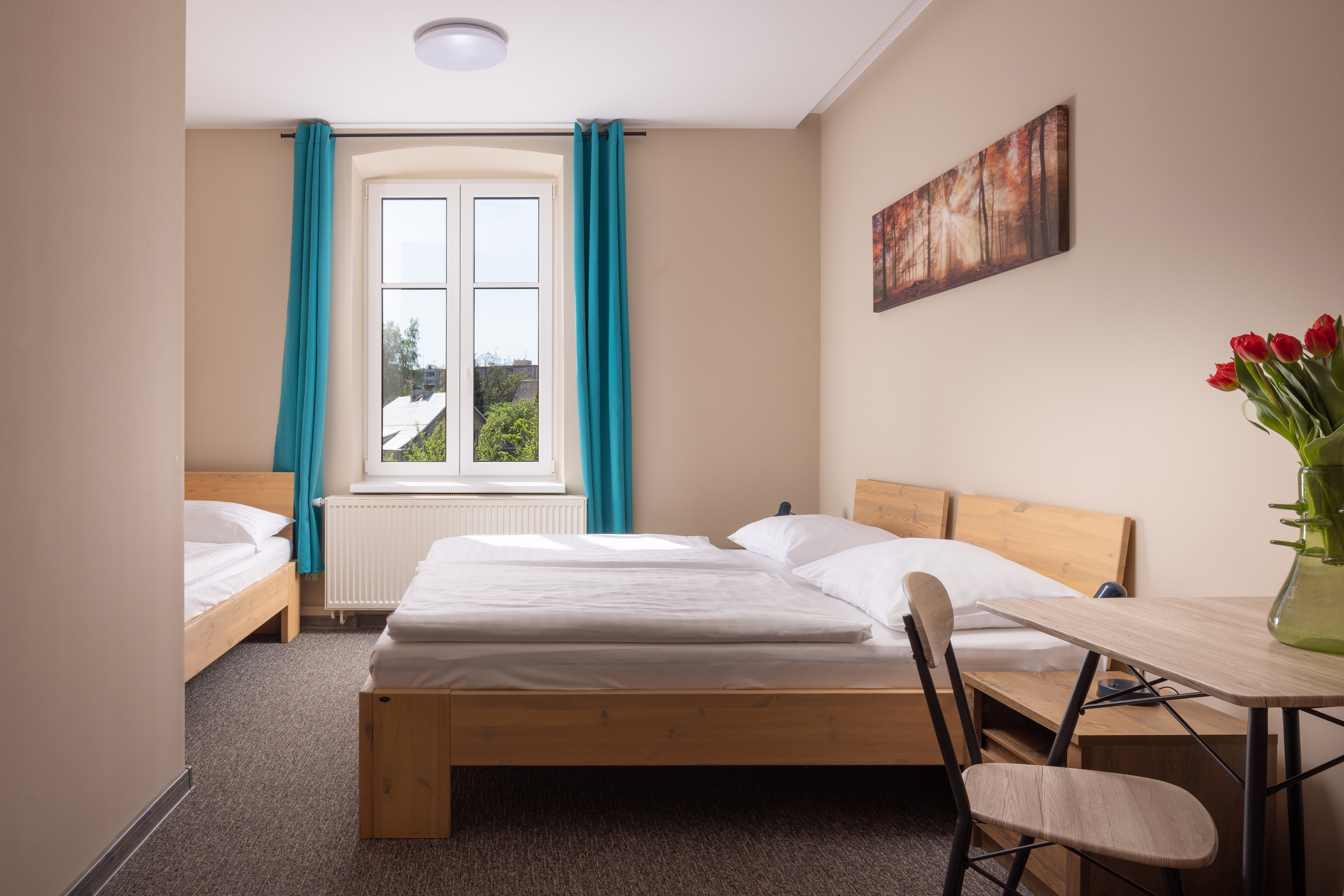 Hotel Praděd - Thamm foto 4