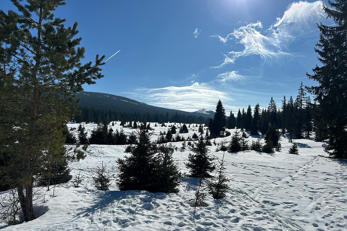 Jarní prázdniny 2026 na Šumavě