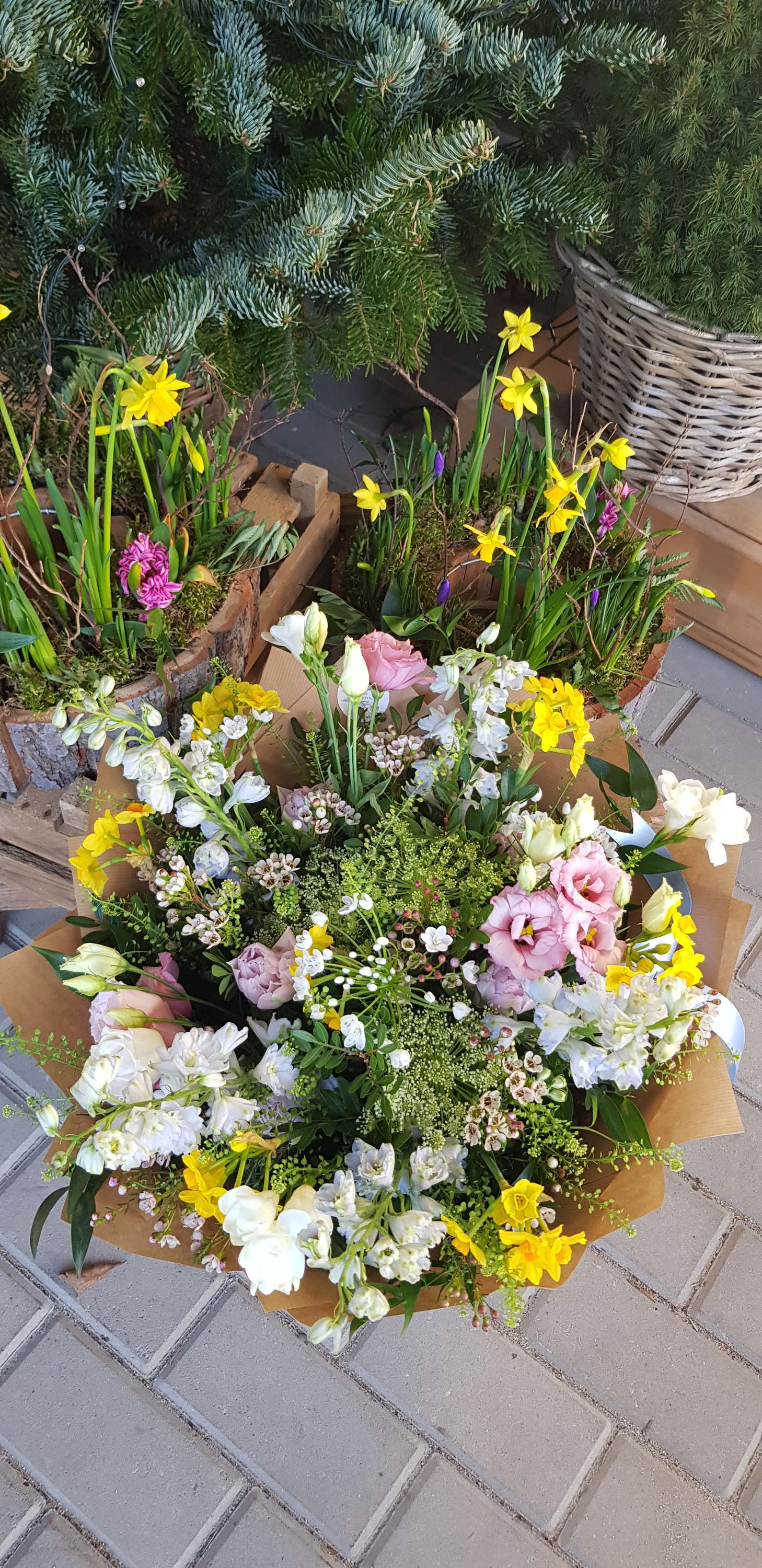 Ateliér Mechovka foto 3