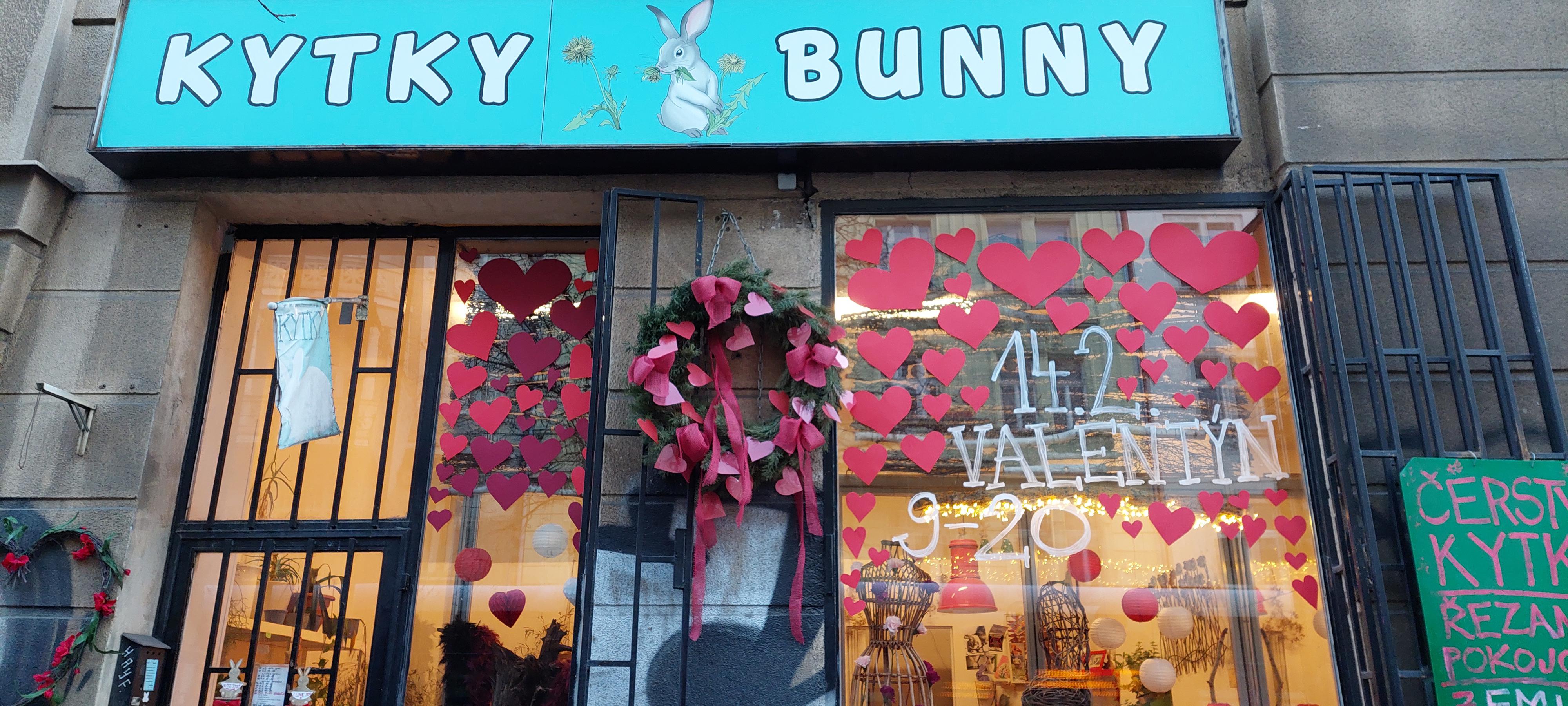 Kytky Bunny foto 1