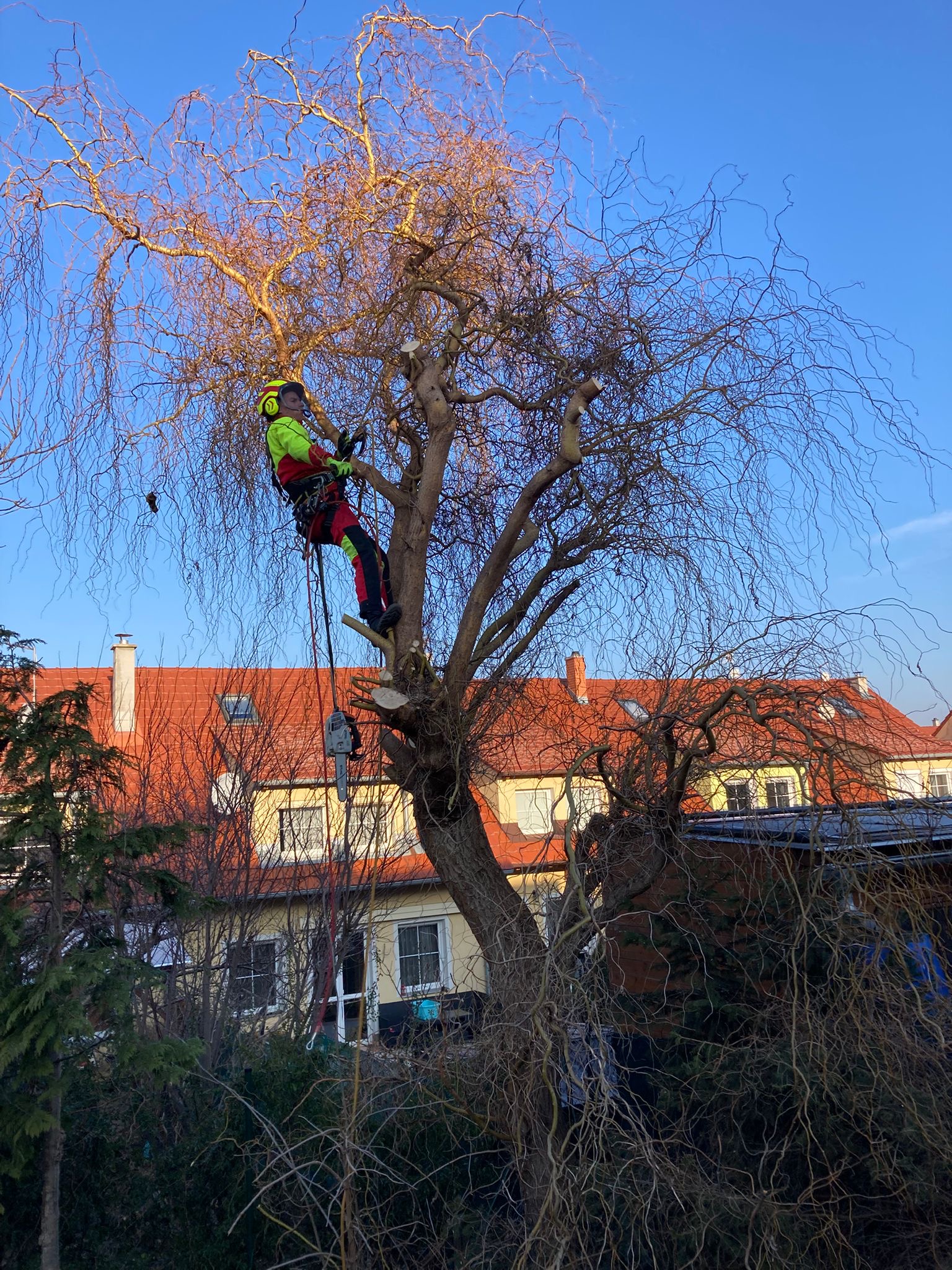 David Bém | Rizikové kácení & Výškové práce, čištění střech, fasád, dlažeb