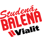 FESTA Pistole vytlačovací 380 ml v obchodě Studenabalena.cz