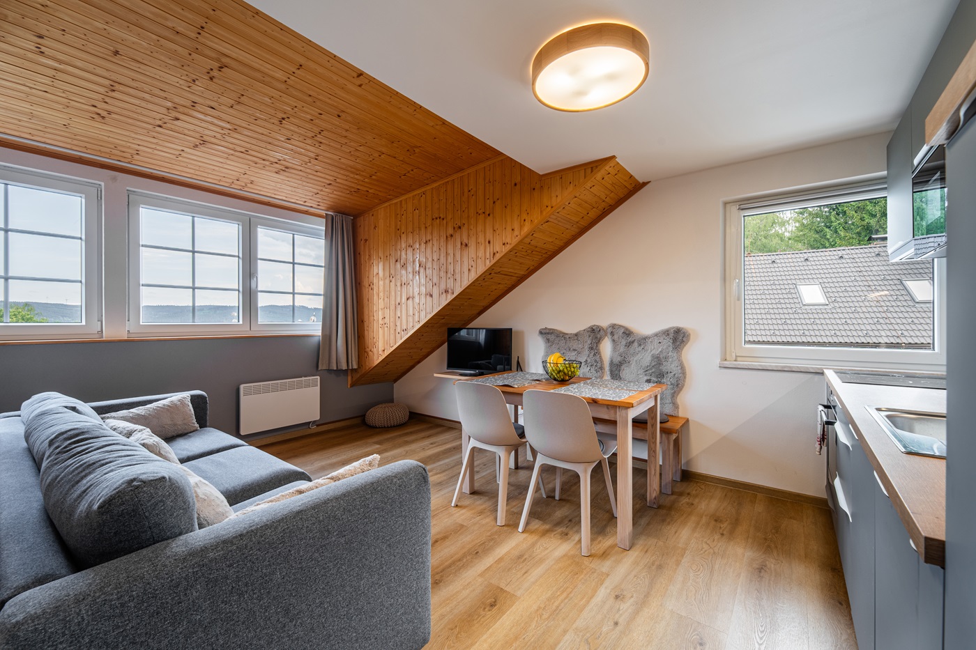 Lipenská Louka - Apartmán PŘÍRODNÍ foto 3